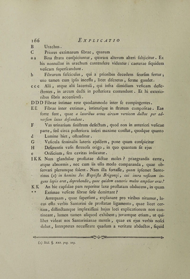 B Urachus. C Priores extimarum fibrae , quarum a a Bina ftrata confpiciuntur, quorum alterum alteri fubjicitur . Ex his nonnullae in urachum contendere videntur: caeterae fiquidem veficam fuperfcandunt. b Fibrarum fafciculus , qui a prioribus decedens feorfim fertur$ uno tamen cum ipfis inceflu , licet difcretus, ferme gaudet. c c c Alii * atque alii lacertuli, qui infra dimidiam veficam defle- ftentes , in arcum du£li in pofteriora contendunt . Et hi exterio¬ ribus fibris accenfendi. D D D Fibrae intimae rete quodammodo inter fe compingentes. E E Fibrae inter extimas , intimafque in lfratum compofitae . Eae forte funt , quae a lateribus ortae circum verticem duclae per ad¬ versum latus defcendunt. , F Vas urinarium finiftrum defedlum > quod non in anteriori veficae parte, fed circa pofieriora inferi maxime confiat, quodque quanto d Lumine hiet , offenditur . G Veficula feminalis lateris ejufdem , pone quam confpicitur H Deferentis vafis flexuofa origo , in quo quantum fit ejus e Orificium, feu cavitas indicatur. IKK Num glandulae proflatae diflae moles? praegrandis certe, atque abnormis, nec cum iis ullo modo comparanda , quae ob- fervari plerumque folent. Num illa fortafie, quam ipfemet Santo- rinus (a) in homine Jo: Baptijla Brigonp., cui intra vejicam in¬ gens lapis erat, deprehendit, quae quidem caeteris multo amplior erat ? K K An hic capfulae pars reperitur laxe proflatam obducens, in quam * * Extimae veficae fibrae fefe demittant ? Antequam , quae fuperfunt, explanare pro viribus nitamur, lo¬ cus efto verbis Santorini de proflatae ligamento , quae licet cer¬ tam , difiinflamque implexiffimi hujus loci explicationem non con¬ tineant , lumen tamen aliquod exhibent j juvantque etiam, ut qui¬ libet videat nos Santorinianae mentis , quae ex ejus verbis nofci debet, Interpretes necefiitate quadam a veritate abdu£los, fiquid -5> (a) Ibld. §. xxi. pag. 203. \ /