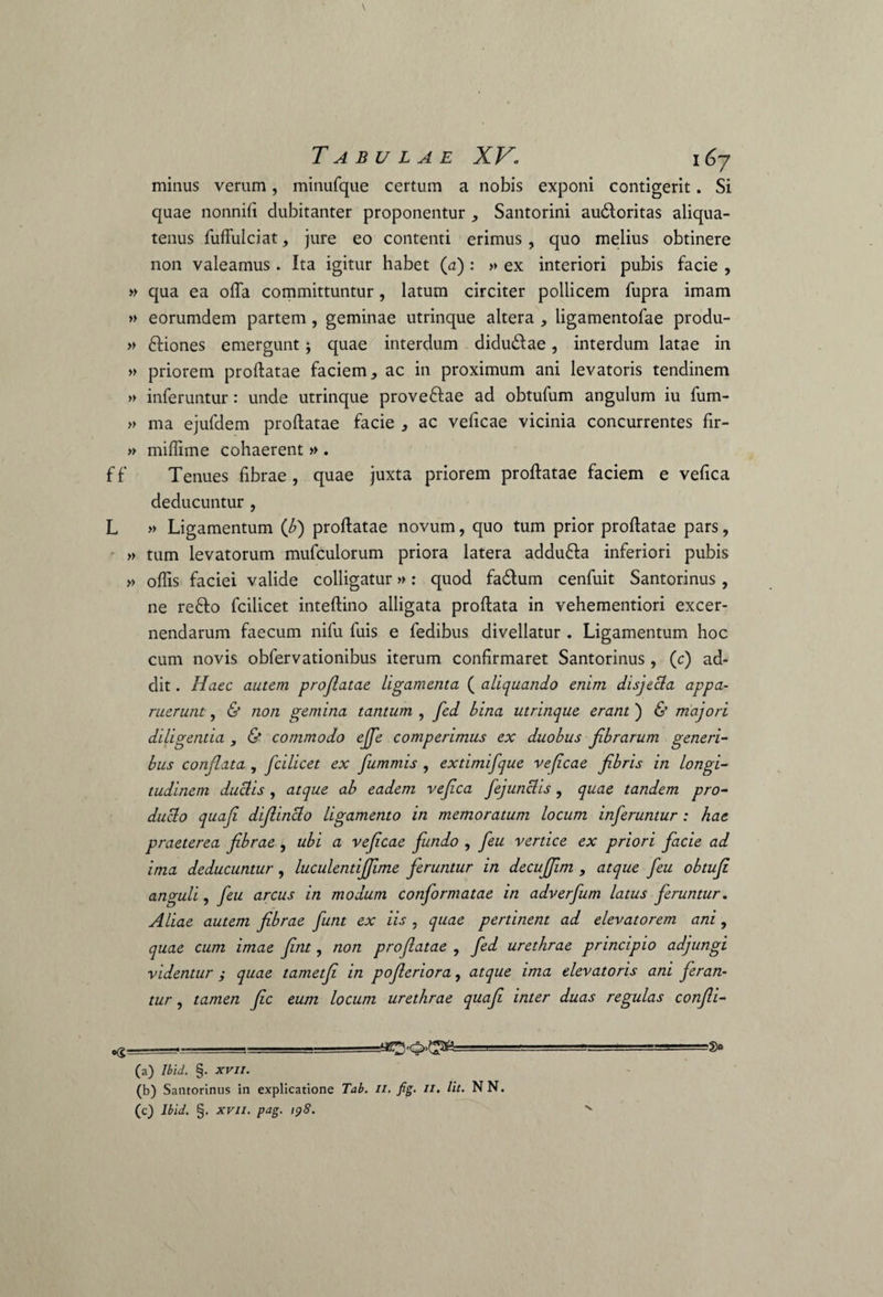 Tabulae XV- i6y minus verum, minufque certum a nobis exponi contigerit. Si quae nonnifi dubitanter proponentur , Santorini audloritas aliqua¬ tenus fuffulciat, jure eo contenti erimus, quo melius obtinere non valeamus . Ita igitur habet (a) : » ex interiori pubis facie , » qua ea offa committuntur, latum circiter pollicem fupra imam » eorumdem partem , geminae utrinque altera , ligamentofae produ- » ftiones emergunt; quae interdum didudlae, interdum latae in » priorem proflatae faciem, ac in proximum ani levatoris tendinem » inferuntur: unde utrinque proveftae ad obtufum angulum iu fum- » ma ejufdem proflatae facie , ac veficae vicinia concurrentes fir- » miflime cohaerent » . ff Tenues fibrae, quae juxta priorem proflatae faciem e vefica deducuntur , L » Ligamentum (b) proflatae novum, quo tum prior proflatae pars, » tum levatorum mufculorum priora latera addufta inferiori pubis » offis faciei valide colligatur»: quod fadum cenfuit Santorinus , ne refto fcilicet inteftino alligata proflata in vehementiori excer¬ nendarum faecum nifu fuis e fedibus divellatur . Ligamentum hoc cum novis obfervationibus iterum confirmaret Santorinus , (c) ad¬ dit . Haec autem projlatae ligamenta ( aliquando enim disjecla appa¬ ruerunt , & non gemina tantum , fed bina utrinque erant ) & majori diligentia , & commodo ejfe comperimus ex duobus fibrarum generi¬ bus conflata , fcilicet ex fummis , extimifque veficae fibris in longi¬ tudinem ductis , atque ab eadem vefica fejunclis , quae tandem pro¬ ducto quafi difiinclo ligamento in memoratum locum inferuntur : hae praeterea fibrae , ubi a veficae fundo , feu vertice ex priori facie ad ima deducuntur , luculentijfime feruntur in decujfim , atque feu obtufi anguli, feu arcus in modum conformatae in adverfum latus feruntur. Aliae autem fibrae jiunt ex iis , quae pertinent ad elevatorem ani, quae cum imae fint, non proflatae , fed urethrae principio adjungi videntur ; quae tametfi in pofleriora, atque ima elevatoris ani feran¬ tur , tamen fic eum locum urethrae quafi inter duas regulas confli- _, ■ ■ ■ ■ .-&> (a) Ibid. §. XVII. (b) Santorinus in explicatione Tab. //. fig. n. Iit. NN. (c) Ibid. §. xvii. pag. ip8. v