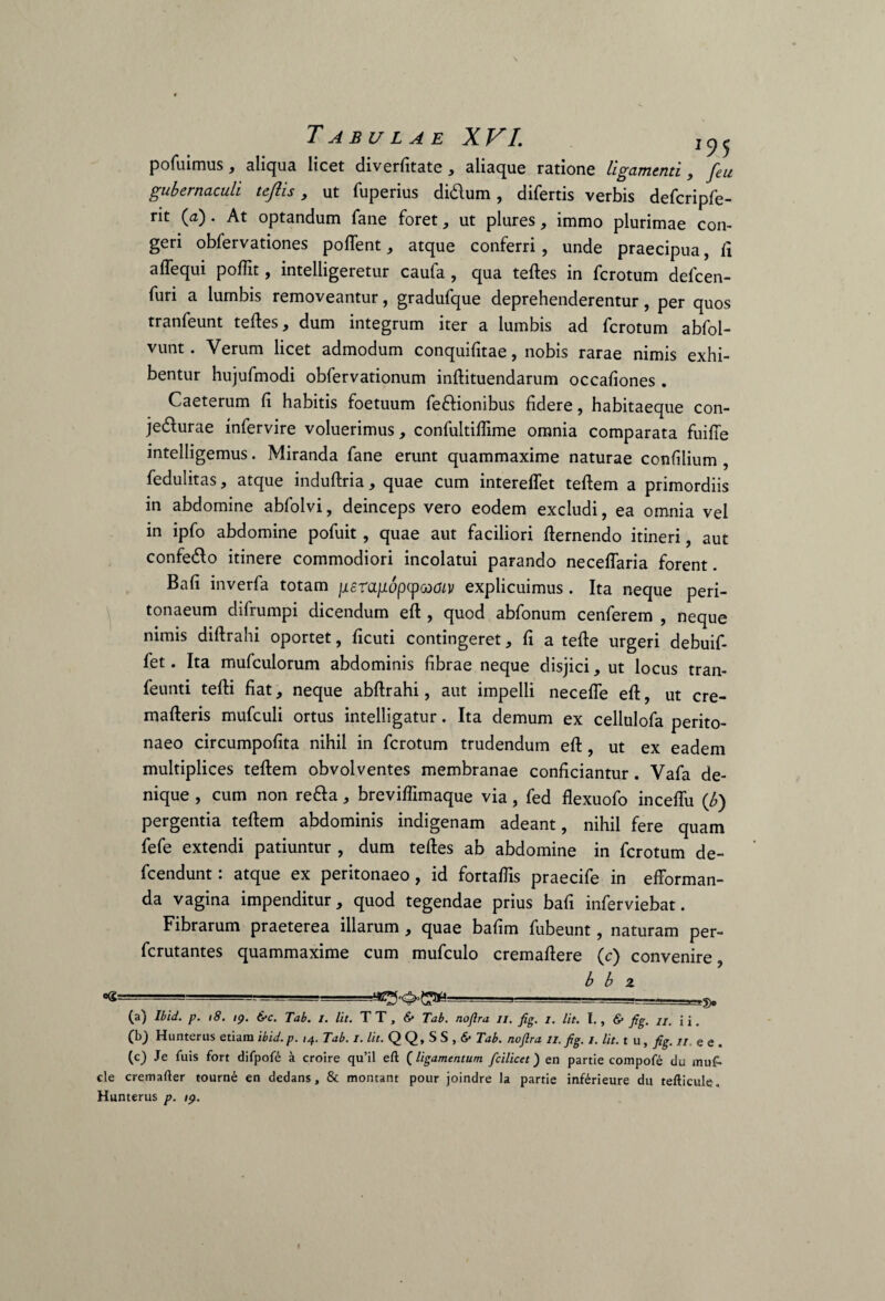 pofuimus, aliqua licet diverfitate , aliaque ratione ligamenti, feu gubernaculi te/lis, ut fuperius di&um, difertis verbis defcripfe- rit (a). At optandum fane foret, ut plures, immo plurimae con¬ geri obfervationes poftent , atque conferri, unde praecipua, fi a Aequi poffit, intelligeretur caufa , qua teftes in fcrotum delcen- furi a lumbis removeantur, gradufque deprehenderentur, per quos tranfeunt teftes, dum integrum iter a lumbis ad fcrotum abfol- vunt. Verum licet admodum conquifitae, nobis rarae nimis exhi¬ bentur hujufmodi obfervationum inftituendarum occafiones . Caeterum fi habitis foetuum fe&ionibus fidere, habitaeque con- jedurae infervire voluerimus , confultiflime omnia comparata fuifie intelligemus. Miranda fane erunt quammaxime naturae confilium , fedulitas, atque induftria, quae cum intereflet teftem a primordiis in abdomine abfolvi, deinceps vero eodem excludi, ea omnia vel in ipfo abdomine pofuit, quae aut faciliori fternendo itineri, aut confedo itinere commodiori incolatui parando neceflaria forent. Bafi inverfa totam jueranopycoaiv explicuimus . Ita neque peri¬ tonaeum difrumpi dicendum eft , quod abfonum cenferem , neque nimis diftrahi oportet, ficuti contingeret, fi a tefte urgeri debuif- fet. Ita mufculorum abdominis fibrae neque disjici, ut locus tran- feunti tefti fiat, neque abfirahi, aut impelli necefle eft, ut cre- mafteris mufculi ortus intelligatur. Ita demum ex cellulofa perito¬ naeo circumpofita nihil in fcrotum trudendum eft, ut ex eadem multiplices teftem obvolventes membranae conficiantur. Vafa de¬ nique , cum non refta, breviflimaque via, fed flexuofo inceflu (£) pergentia teftem abdominis indigenam adeant, nihil fere quam fefe extendi patiuntur , dum teftes ab abdomine in fcrotum de- fcendunt: atque ex peritonaeo, id fortafiis praecife in efforman- da vagina impenditur, quod tegendae prius bafi inferviebat. Fibrarum praeterea illarum , quae bafim fubeunt, naturam per- fcrutantes quammaxime cum mufculo cremaftere (c) convenire b b z ---' . . (a) Ibid. p. 18. ip. &c. Tab. i. Iit. TT, Tab. no/lra ii. fig. /. Iit. I., & fig. ii. ii. (b) Hunterus etiam ibid. p. ,4. Tab. i. Iit. Q Q, S S , & Tab. nofira //. fig. /. Iit. tu, fig.xi.ee. (c) Je fuis fort difpofe a croire qu’il eft (ligamentum, fcilicet) en partie compofe du muf- cle cremafter tourne en dedans, & montant pour joindre la partie inferieure du tefticule. Hunterus p. ip.