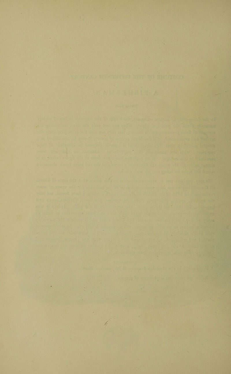 . . . ' • ■ ■ ■ ■ - • ' A t 'VHsSj ' ' ; j ' rf ' ’ ■ . ' 5 S' . ■ ' / _ ; ,' . ■ ! • . : ' /