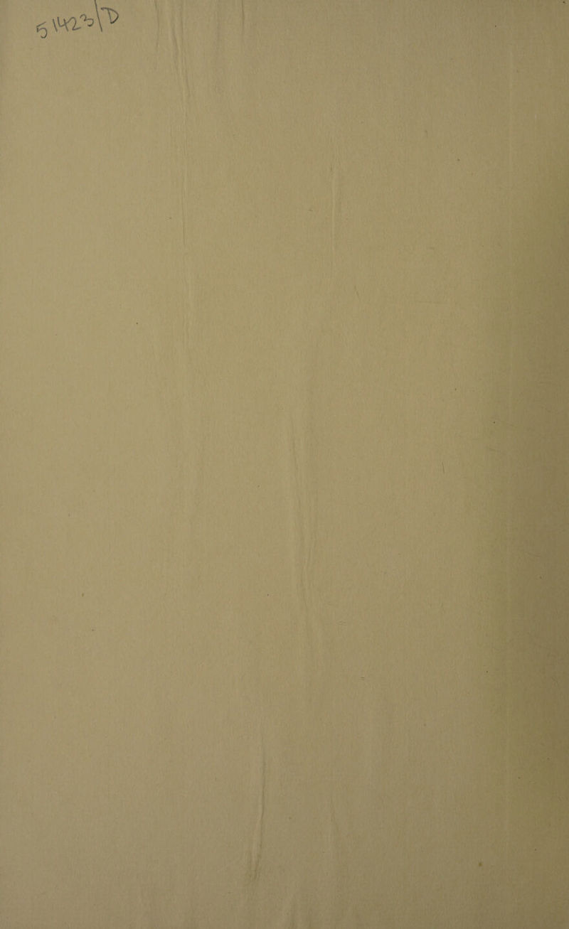 •o . ' ■ ' . - - ■ ■ ■ ■