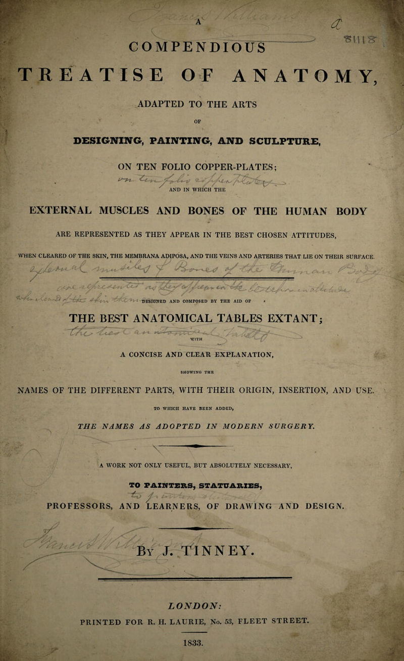 15111 5 COMPENDIOUS TREATISE OF ANATOMY ADAPTED TO THE ARTS OF DESIGNING, PAINTING, AND SCULPTURE, ON TEN FOLIO COPPER-PLATES; A - , / AND IN WHICH THE EXTERNAL MUSCLES AND BONES OF THE HUMAN BODY »» ARE REPRESENTED AS THEY APPEAR IN THE BEST CHOSEN ATTITUDES, 0 WHEN CLEARED OF THE SKIN, THE MEMBRANA ADIPOSA, AND THE VEINS AND ARTERIES THAT LIE ON THEIR SURFACE. foCr/iX. y / i. te* J?j 4^^ ^te -*> t DESIGNED AND COMPOSED BY THE AID OF THE BEST ANATOMICAL TABLES EXTANT; (- *L * WITH A CONCISE AND CLEAR EXPLANATION, SHOWING THE NAMES OF THE DIFFERENT PARTS, WITH THEIR ORIGIN, INSERTION, AND USE. TO WHICH HAVE BEEN ADDED, THE NAMES AS ADOPTED IN MODERN SURGERY. A WORK NOT ONLY USEFUL, BUT ABSOLUTELY NECESSARY, TO PAINTERS, STATUARIES, ~£d » cy-'Cy'bt a-. *5<-?># . * PROFESSORS, AND LEARNERS, OF DRAWING AND DESIGN. LONDON: PRINTED FOR R. H. LAURIE, No. 53, FLEET STREET. 1833.