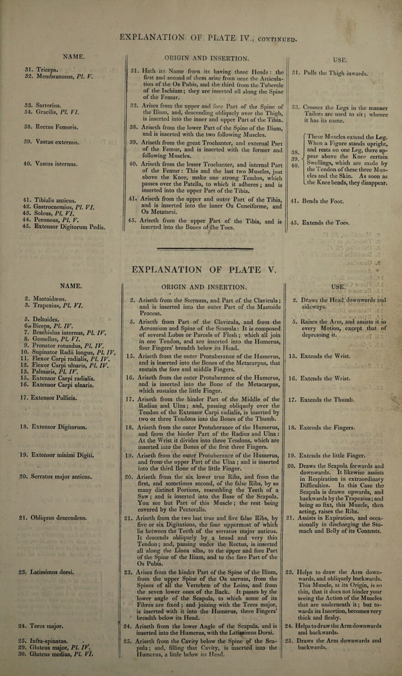 NAME. 31. Triceps. 32. Membranosus, PL F. 33. Sartorius. 34. Gracilis, PL VI. 38. Rectus Femoris. 39. Vastus externus. 40. Vastus internus. 41. Tibialis anticus. 42. Gastrocnemius, PI. VI. 43. Soleus, PI. VI. 44. Peroneus, PI. V. 45. Extensor Digitorum Pedis. ORIGIN AND INSERTION. USE. 31. Hath its Name from its having three Heads: the first and second of them arise from near the Articula¬ tion of the Os Pubis, and the third from the Tubercle of the Ischium; they are inserted all along the Spine of the Femur. 31. Pulls the Thigh inwards. 33. Arises from the upper and fore Part of the Spine of the Ilium, and, descending obliquely over the Thigh, j is inserted into the inner and upper Part of the Tibia. 38. Ariseth from the lower Part of the Spine of the Ilium, and is inserted with the two following Muscles. 39. Ariseth from the great Trochanter, and external Part of the Femur, and is inserted with the former and following Muscles. 40. Ariseth from the lesser Trochanter, and internal Part of the Femur: This and the last two Muscles, just above the Knee, make one strong Tendon, which passes over the Patella, to which it adheres ; and is inserted into the upper Part of the Tibia. 41. Ariseth from the upper and outer Part of the Tibia, and is inserted into the inner Os Cuneiforme, and Os Metatarsi. 33. Crosses the Legs in the manner Tailors are used to sit; whence it has its name. 38. 39. 40. 1 hose Muscles extend the Leg. When a Figure stands upright, and rests on one Leg, there ap¬ pear above the Knee certain Swellings, which are made by the Tendon of these three M us- cles and the Skin. As soon as the Knee bends, they disappear. 41. Bends the Foot. 45. Ariseth from the upper Part of the Tibia, and is inserted into the Bones of ihe Toes. 45. Extends the Toes. NAME. 2. Mastoidaeus. 3. Trapezius, PI. VI. 5. Deltoides. 6. «* Biceps, PI. IV. 7. Brachialus internus, PI. IV. 8. Gemellus, PL VI. 9. Pronator rotundus, PL IV. 10. Supinator Radii longus, PL IV. 11. Flexor Carpi radialis, PL IV. 12. Flexor Carpi ulnar is, PL IV. 13. Palmaris, PL IV. 15. Extensor Carpi radialis. 16. Extensor Carpi ulnaris. 17. Extensor Pollicis. 18. Extensor Digitorum. 19. Extensor minimi Digiti. 20. Serratus major anticus. 21. Obliquus descendens. 23. Latissimus dorsi. 24. Teres major. 25. Infra-spinatus. 29. Gluteus major, PI. IV. 30. Gluteus medius, Pl. VI. EXPLANATION OF PLATE V. ORIGIN AND INSERTION. » 2. Ariseth from the Sternum, and Part of the Clavicula; and is inserted into the outer Part of the Mastoide Process. 5. Ariseth from Part of the Clavicula, and from the Acromium and Spine of the Scapula: It is composed of several Lobes or Parcels of Flesh ; which all join in one Tendon, and are inserted into the Humerus, four Fingers’ breadth below its Head. 15. Ariseth from the outer Protuberance of the Humerus, and is inserted into the Bones of the Metacarpus, that sustain the fore and middle Fingers. 16. Ariseth from the outer Protuberance of the Humerus, and is inserted into the Bone of the Metacarpus, which sustains the little Finger. 1 7. Ariseth from the hinder Part of the Middle of the Radius and Ulna; and, passing obliquely over the Tendon of the Extensor Carpi radialis, is inserted by two or three Tendons into the Bones of the Thumb. 18. Ariseth from the outer Protuberance of the Humerus, and from the hinder Part of the Radius and Ulna : At the Wrist it divides into three Tendons, which are inserted into the Bones of the first three Fingers. 19. Ariseth from the outer Protuberance of the Humerus, and from- the upper Part of the Ulna ; and is inserted into the third Bone of the little Finger. 20. Ariseth from the six lower true Ribs, and from the first, and sometimes second, of the false Ribs, by so many distinct Portions, resembling the Teeth of a Saw ; and is inserted into the Base of the Scapula. You see but Part of this Muscle ; the rest being covered by the Pectoralis. 21. Ariseth from the two last true and five false Ribs, by five or six Digitations, the four uppermost of which lie between the Teeth of the serratus major anticus. It descends obliquely by a broad and very thin Tendon; and, passing under the Rectus, is inserted all along the Linea alba, to the upper and fore Part of the Spine of the Ilium, and to the fore Part of the Os Pubis. 23. Arises from the hinder Part of the Spine of the Ilium, from the upper Spine of the Os sacrum, from the Spines of all the Vertebras of the Loins, and from the seven lower ones of the Back. It passes by the lower angle of the Scapula, to which some of its Fibres are fixed ; and joining with the Teres major, is inserted with it into the Humerus, three Fingers’ breadth below its Head. 24. Ariseth from the lower Angle of the Scapula, and is inserted into the Humerus, with the Latissimus Dorsi. 25. Ariseth from the Cavity below the Spine of the Sca¬ pula ; and, filling that Cavity, is inserted into the Humerus, a little below its Head. .UiiVKsO .« .• * * * nJi ” f) f ■ USE. 2. Draws the Head downwards and sideways. 5. Raises the Ann, and assists it in every Motion, except that of depressing it. » • • - J * ’ * • . •. 15. Extends the Wrist. 16. Extends the Wrist. 17. Extends the Thumb. 18. Extends the Fingers. 19. Extends the little Finger. 20. Draws the Scapula forwards and downwards. It likewise assists in Respiration in extraordinary Difficulties. In this Case the Scapula is drawn upwards, and backwards by the Trapezius; and being so fixt, this Muscle, then acting, raises the Ribs. 21. Assists in Expiration, and occa¬ sionally in discharging the Sto¬ mach and Belly of its Contents. 23. Helps to draw the Arm down¬ wards, and obliquely backwards. This Muscle, at its Origin, is so thin, that it does not hinder your seeing the Action of the Muscles that are underneath it; but to¬ wards its Insertion, becomes very thick and fleshy. 24. Helps to draw the Arm downwards and backwards. 25. Draws the Arm downwards and backwards.