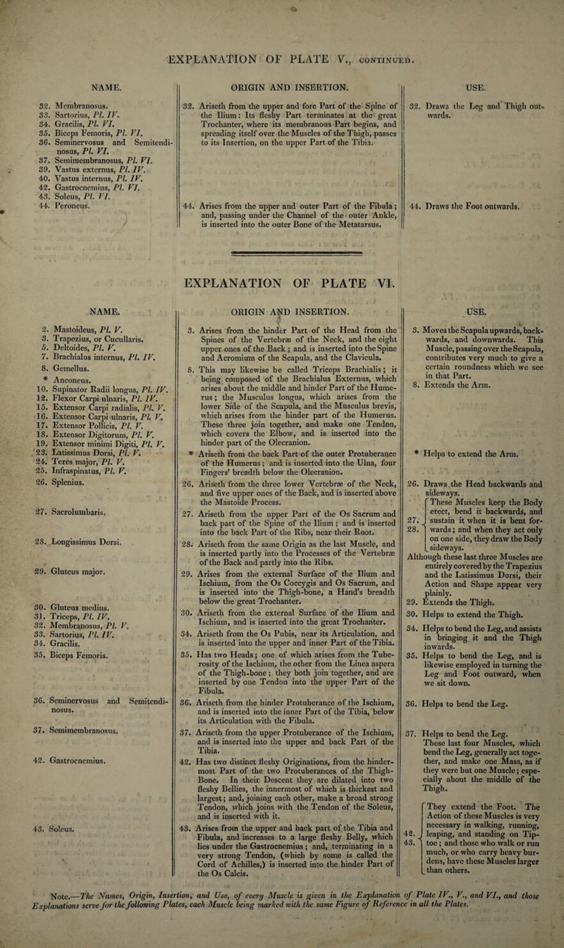 NAME. ORIGIN AND INSERTION. USE. 32. Membranosus. 33. Sartorius, Pl. IV. 34. Gracilis, PI. VI. 35. Biceps Femoris, PI. VI. 36. Seminervosus and Semitendi- nosus, PI. VI. 37. Semimembranosus, PL VI. 39. Vastus externus, PI. IV. 40. Vastus internus, PI. IV, 42. Gastrocnemius, PL VI. 43. Soleus, PL VI. 44. Peroneus. ■ ' '3 ' 32. Ariseth from the upper and fore Part of the Spine of the Ilium: Its fleshy Part terminates at the great Trochanter, where its membranous Part begins, and spreading itself over the Muscles of the Thigh, passes to its Insertion, on the upper Part of the Tibia. 32. Draws the Leg and Thigh out-, wards. 44. Arises from the upper and outer Part of the Fibula; and, passing under the Channel of the outer Ankle, is inserted into the outer Bone of the Metatarsus. 44. Draws the Foot outwards. NAME. EXPLANATION OF PLATE VI. *•' : A k .) ORIGIN AND INSERTION. I USE. 2. Mastoideus, PL V. 3. Trapezius, or Cucullaris. 5. Deltoides, PL V. 7. Brachialus internus, Pl. IV. 8. Gemellus. * Anconeus. 10. Supinator Radii longus, PL IV. 12. Flexor Carpi ulnaris, Pl. IV. 15. Extensor Carpi radialis, PL V. 16. Extensor Carpi ulnaris, Pl. V. 17. Extensor Pollicis, Pl. V. 18. Extensor Digitorum, Pl. V. 19. Extensor minimi Digiti, Pl. V. 23. Latissimus Dorsi, Pl. V. 24. Teres major, Pl. V. 25. Infraspinatus, Pl. V. 26. Splenius. 27. Sacrolumbaris. 28. Longissimus Dorsi. 29. Gluteus major. 30. Gluteus medius. 31. Triceps, Pl. IV. 32. Membranosus, Pl. V. 33. Sartorius, PL IV. 34. Gracilis. 35. Biceps Femoris. 36. Seminervosus and Semitendi- nosus. r , 37. Semimembranosus. 42. Gastrocnemius, 43. Soleus. 3. Arises from the hinder Part of the Head from the Spines of the Vertebrae of the Neck, and the eight upper ones of the Back ; and is inserted into the Spine and Acromium of the Scapula, and the Clavicula. 8. This may likewise be called Triceps Brachialis; it being composed of the Brachialus Externus, which arises about the middle and hinder Part of the Hume¬ rus ; the Musculus longus, which arises from the lower Side of the Scapula, and the Musculus brevis, which arises from the hinder part of the Humerus. These three join together, and make one Tendon, which covers the Elbow, and is inserted into the hinder part of the Olecranion. * Ariseth from the back Part of the outer Protuberance of the Humerus; and is inserted into the Ulna, four Fingers’ breadth below the Olecranion. 26. Ariseth from the three lower Vertebrae of the Neck, and five upper ones of the Back, and is inserted above the Mastoide Process. 27. Ariseth from the upper Part of the Os Sacrum and back part of the Spine of the Ilium ; and is inserted into the back Part of the Ribs, near their Root. 28. Ariseth from the same Origin as the last Muscle, and is inserted partly into the Processes of the Vertebrae of the Back and partly into the Ribs. 29. Arises from the external Surface of the Ilium and Ischium, from the Os Coccygis and Os Sacrum, and is inserted into the Thigh-bone, a Hand’s breadth below the great Trochanter. 30. Ariseth from the external Surface of the Ilium and Ischium, and is inserted into the great Trochanter. 34. Ariseth from the Os Pubis, near its Articulation, and is inserted into the upper and inner Part of the Tibia. 35. Has two Heads; one of which arises from the Tube¬ rosity of the Ischium, the other from the Linea aspera of the Thigh-bone; they both join together, and are inserted by one Tendon into the upper Part of the Fibula. 36. Ariseth from the hinder Protuberance of the Ischium, and is inserted into the inner Part of the Tibia, below its Articulation with the Fibula. 37. Ariseth from the upper Protuberance of the Ischium, and is inserted into the upper and back Part of the Tibia. 42. Has two distinct fleshy Originations, from the hinder- most Part of the two Protuberances of the Thigh- Bone. In their Descent they are dilated into two fleshy Bellies, the innermost of which is thickest and largest; and, joining each other, make a broad strong Tendon, which joins with the Tendon of the Soleus, and is inserted with it. 43. Arises from the upper and back part of the Tibia and Fibula, and increases to a large fleshy Belly, which lies under the Gastrocnemius; and, terminating in a very strong Tendon, (which by some is called the Cord of Achilles,) is inserted into the hinder Part of the Os Calcis. 3. Moves the Scapula upwards, back¬ wards, and downwards. This Muscle, passing over the Scapula, contributes very much to give a certain roundness which we see in that Part. 8. Extends the Arm. * Helps to extend the Arm. 26. Draws the Head backwards and sideways. These Muscles keep the Body erect, bend it backwards, and 27. J sustain it when it is bent for- 28. wards; and when they act only on one side, they draw the Body sideways. Although these last three Muscles are entirely covered by the Trapezius and the Latissimus Dorsi, their Action and Shape appear very plainly. 29. Extends the Thigh. 30. Helps to extend the Thigh. 34. Helps to bend the Leg, and assists in bringing it and the Thigh inwards. 35. Helps to bend the Leg, and is likewise employed in turning the Leg and Foot outward, when we sit down. 36. Helps to bend the Leg. 37. Helps to bend the Leg. These last four Muscles, which bend the Leg, generally act toge¬ ther, and make one Mass, as if they were but one Muscle; espe¬ cially about the middle of the Thigh. 42. 43. They extend the Foot. The Action of these Muscles is very necessary in walking, running, ) leaping, and standing on Tip¬ toe ; and those who walk or run much, or who carry heavy bur¬ dens, have these Muscles larger than others. Note.— The Names, Origin, Insertion, and Use, of every Muscle is given in the Explanation of Plate IV., V., and VI., and those Explanations serve for the following Plates, each Muscle being marked with the same Figure of Reference in all the Plates.