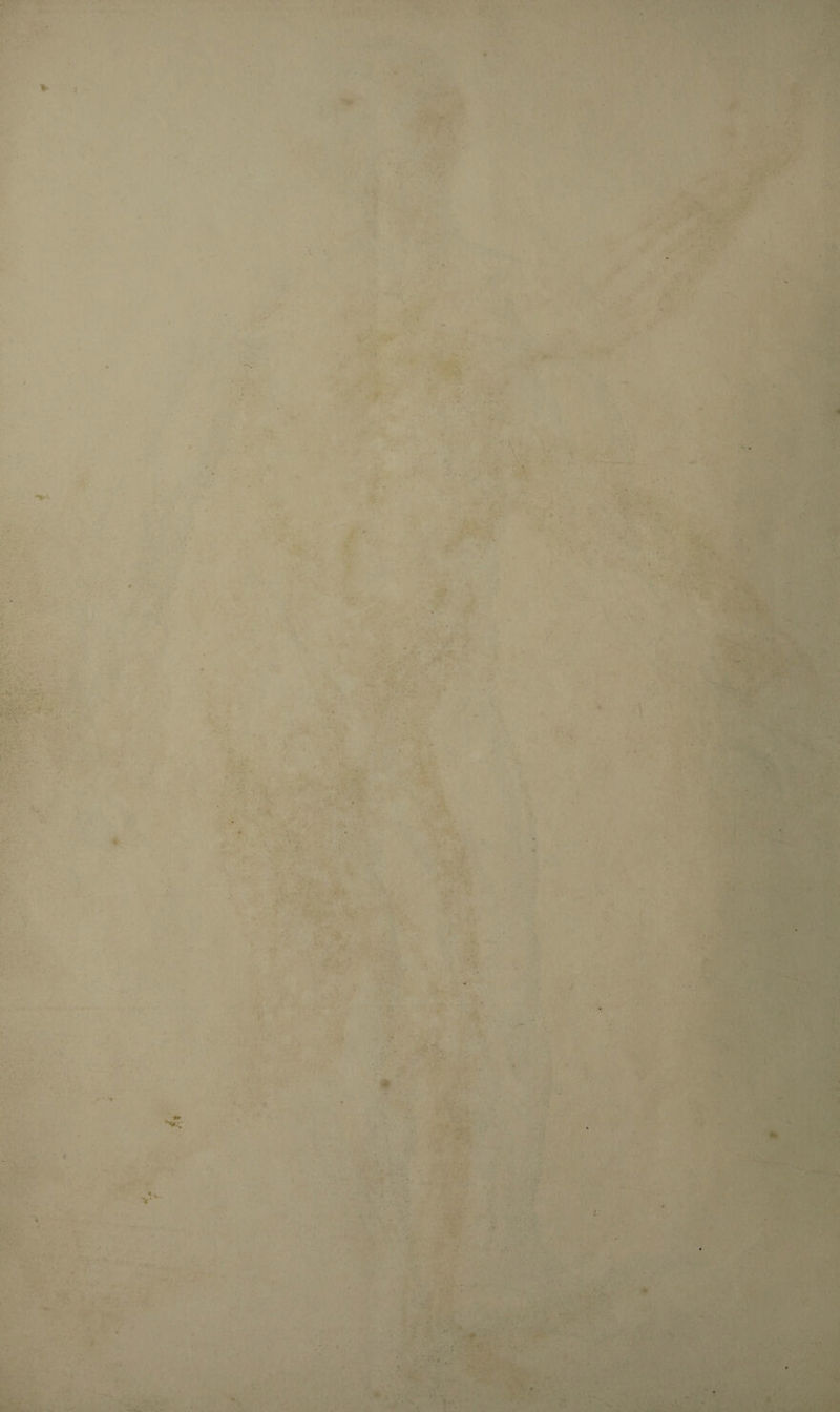 ; • ' *• ' . . ■4:f, - - ‘ - N.-V - . ' . # ’ . r ,*•' '