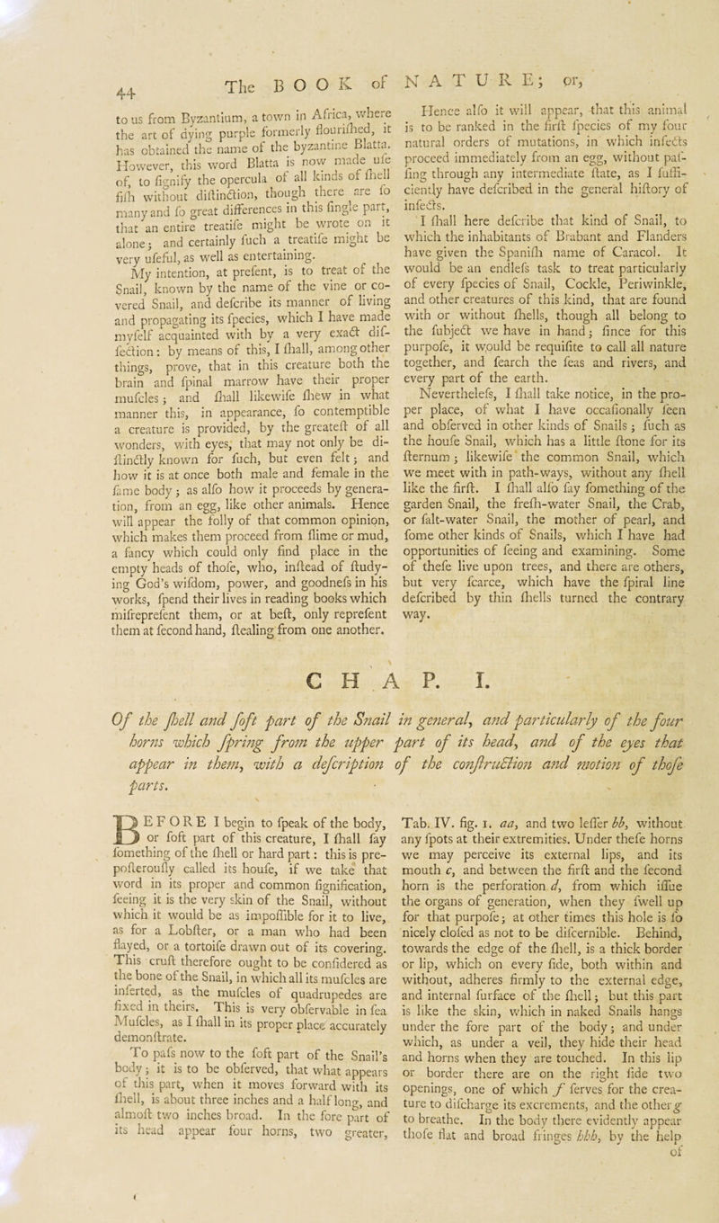 to us from Byzantium, a town in Africa, where the art of dying purple formerly flouiiihed, it has obtained the name of the byzantine Blatta. However, this word Blatta is now mane me of to fivnify the opercula of all kinds or (hell filh without diftinaion, though there are lo many and fo great differences in this fingie pait, that an entire treatife might be wrote on it alone • and certainly fuch a treatife might be very ufeful, as well as entertaining. My intention, at prefent, is to treat of the Snail, known by the name of the vine or co¬ vered Snail, and deferibe its manner of living and propagating its fpecies, which I have made myfelf acquainted with by a very exadt dif- fedion : by means of this, I {hall, among other things, prove, that in this creature both tne brain and fpinal marrow have their proper rnufcles3 and (hall likewife (hew in what manner this, in appearance, fo contemptible a creature is provided, by the greatefr of all wonders, with eyes, that may not only be di- ftindly known for fuch, but even felt5 and how it is at once both male and female in the fame body 3 as alfo how it proceeds by genera¬ tion, from an egg, like other animals. Hence will appear the folly of that common opinion, which makes them proceed from dime or mud, a fancy which could only find place in the empty heads of thofe, who, inftead of ftudy- ing God’s wifdom, power, and goodnefs in his works, fpend their lives in reading books which mifreprefent them, or at beft, only reprefent them at fecond hand, ftealing from one another. N A T U R E; pr, Hence alfo it will appear, that this animal is to be ranked in the firft fpecies of my four natural orders of mutations, in which infedts proceed immediately from an egg, without paf- fing through any intermediate ftate, as I diffi¬ dently have deferibed in the general hiftory of infedrs. I fliall here deferibe that kind of Snail, to which the inhabitants of Brabant and Flanders have given the Spanifh name of Caracol. It would be an endlefs task to treat particularly of every fpecies of Snail, Cockle, Periwinkle, and other creatures of this kind, that are found with or without fhells, though all belong to the fubjedt we have in hand5 fince for this purpofe, it would be requifite to call all nature together, and fearch the feas and rivers, and every part of the earth. Neverthelefs, I fliall take notice, in the pro¬ per place, of what I have occasionally feen and obferved in other kinds of Snails 3 fuch as the houfe Snail, which has a little ftone for its fternum 3 likewife the common Snail, which we meet with in path-ways, without any ftieli like the firft. I fliall alfo fay fomething of the garden Snail, the frefh-water Snail, the Crab, or falt-water Snail, the mother of pearl, and fome other kinds of Snails, which I have had opportunities of feeing and examining. Some of thefe live upon trees, and there are others, but very fcarce, which have the fpiral line deferibed by thin (hells turned the contrary way. C H A P. I. Of the fell and foft fart of the Snail in general, and particularly of the four horns which fpring from the upper part of its head, and of the eyes that appear in them, with a defer ip tion of the conftruSlion and motion of thofe parts. BEFORE I begin to fpeak of the body, or foft part of this creature, I (hall fay fomething of the (hell or hard part: this is pre- pofteroufly called its houfe, if we take that word in its proper and common fignification, feeing it is the very skin of the Snail, without which it would be as impoffible for it to live, as for a Lobfter, or a man who had been flayed, or a tortoife drawn out of its covering. This cruft therefore ought to be confidercd as the bone of the Snail, in which all its mufcles are inserted, as the mufcles of quadrupedes are fixed in theirs. This is very obfervable in fea Mufcles, as I fliall in its proper place accurately demonftrate. To pafs now to the foft part of the Snail’s body 3 it is to be obferved, that what appears of this part, when it moves forward with its (hell, is about three inches and a half long, and almoft two inches broad. In the fore part of its head appear four horns, two greater, Tab. IV. fig. I. aa, and two lefier bb3 without any fpots at their extremities. Under thefe horns v/e may perceive its external lips, and its mouth c, and between the firft and the fecond horn is the perforation d3 from which iffue the organs of generation, when they fwell up for that purpofe 3 at other times this hole is fo nicely clofed as not to be difcernible. Behind, towards the edge of the (hell, is a thick border or lip, which on every fide, both within and without, adheres firmly to the external edge, and internal furface of the (hell 3 but this part is like the skin, which in naked Snails hangs under the fore part of the body 5 and under which, as under a veil, they hide their head and horns when they are touched. In this lip or border there are on the right fide two openings, one of which f ferves for the crea¬ ture to difeharge its excrements, and the other g to breathe. In the body there evidently appear thofe flat and broad fringes bkh, by the help of »