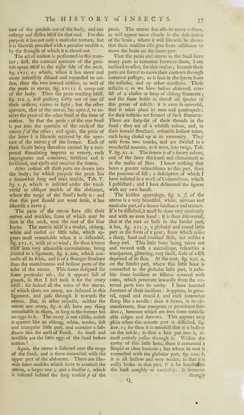 ture of the genitals out of the body, and can enlarge and ftiffen itfelf for that end. For this purpofe it has not only a mul'cular texture, but it is likewife provided with a peculiar mufcle o, by the ftrength of which it is thruft out. The adtof coition is performed in this man¬ ner ; firft, the outward aperture of the geni¬ tals opens itfelf in the right fide of the neck, fig. xvii. a-, which, when it has more and more infenfibly dilated and expanded its ori¬ fice, then the two inward orifices, as well of the penis as uterus, fig. x v 111. b, creep out of the body. Then the penis eredting itfelf, fig. xix. c, and pufhing foftly out of one of thefe orifices, comes in fight; but the other aperture, that of the uterus, lies open dy to re¬ ceive the penis of the other Snail at the time of coition. So that the penis e of the one Snail is put into the aperture of the neck of the uterus f of the other; and again, the penis of the latter h is likewife received by the aper¬ ture of the uterus g of the former. Each of thefe Snails being therefore excited by a reci¬ procal flimulating impetus to venery, each impregnates and conceives, fertilizes and is fertilized, and ejedts and receives the femen. After coition all thefe parts are drawn into the bodyj for which purpofe the penis has a fomewhat long and even mufcle. Tab. V. fig. x. /&gt;, which is inferted under the tranf- verfal or oblique mufcle of the abdomen, where the verge of the Snail’s body is: and that this part fhould not want fenfe, it has likewife a nerve y. The parts of the uterus have alfo their nerves and mufcles, fome of which may be feen in the neck, near the root of the four horns. The matrix itfelf is a tender, oblong, white and curled ccc little tube, which ap¬ pears moft remarkable when it is diftended, fig. xvi. r, with air or wind } for then it turns itfelf into very admirable convolutions, being jointed to a ligament, fig. x. win, which con- nedts all its folds, and is of a ftronger ftrudture than the membranous and hollow parts of the tube of the uterus. This feems defigned for fome particular ufe; for it appears full of glands, fo that I firft took it for the ovary itfelf: for indeed all the veins of the uterus, of which there are many, are fattened in this ligament, and pafs through it towards the uterus. But, in other refpedts, neither the uterus nor ovary, fig. x. dd, have any thing remarkable in them, as long as the former has no eggs in it. The ovary is not vifible, unlefs it appears like an oblong, white, tender, foft and triangular little part, and contains a fub- ftance like the melt of Perch. So fmall and invifible are the little eggs of the Snail before coition ! Again, the uterus is faftened near the verge of the Snail, and is there connedted with the upper part of the abdomen. There are like¬ wife fome mufcles which ferve to contrade the uterus, a larger one s, and a fmaller t, which is inferted behind the long mufcle/» of the penis. The uterus has alfo its nerve v there* as will appear more clearly in the defeription of the brain ; where it will likewife be fhewn that thefe mufcles alfo give fome afiiftance to move the brain on the inner part. ' That the penis and uterus in the Snail have many parts in common between them, I am inclined to affert, for this reafon ; becaufe thefe parts are forced to move their contents through common pafiages, as is feen in the fperm from the tefticles, and on other occafions. Thefe tefticles e, as we have before obferved, con-1 fift of a clufter or heap of oblong filaments } and the fame holds in almoft all fpecies of this genus of infedts: it is even fo univerfal, that it takes place in man and quadrupeds} for their tefticles are formed of fuch filaments. There are fixty-fix of thefe threads in the Snail: they are of a whitifh colour, and, in their inward ftrudture, refemble hollow tubes, each being clofed up at its extremity. They arife from two trunks, and are divided in a wonderful manner, as it were, into twigs, Tab. V. fig. xi. x. The femen is of a fnowy colour, and of the fame thicknefs and clamminefs as in the males of Bees. I know nothing that bears a greater refemblance to this part, than the pancreas of fifh } a defeription of which I have inferted in a work of Commelinus, which I publifhed} and I have delineated the figures with my own hands. The hidden appendage, fig. x. f, of the uterus is a very beautiful, white, nervous and mufcular part, of a firmer fubftance and texture. If it be difledtedjit muft be done very cautioufly and with an even hand : it is then difeovered, that at the root or bafis in the hinder part, it has, fig. xn.jy, a globular and round little part in the form of a pear} from which ariles a fharp, hard and crooked ftyle, not unlike a fharp awl. This little bone being taken out and viewed with a microfcope, refembles a tranfparent, glittering, very fmall, fcale of a fifh deprived of its fkin. At the root, fig. xm. a&gt; on the hinder part, where this little bone is connedted to the globular little part, it exhi¬ bits fome incifions or riffures covered with coats, which penetrate inwardly from the ex¬ ternal parts into its cavity. I have counted fourteen of thefe incifions : it appears, in gene¬ ral, equal and round b, and ends lomewhat fharp like a needle : then it forms, in its cir¬ cumference, four margents or prominent bor¬ ders c, between which are feen fome remark*- able ridges and furrows. This appears very plain when this minute part is diifedted, fig. xiv. e } for then it is manifeft that it is hollow on the infide } fo that a hair put into it, al¬ moft entirely paffes through it. Within the cavity of this little bone, there is contained a limpid or clear humour; but where its root is connedted with the globular part, fig. xm. b, it is all hollow and very tender, fo that it is eafily broke in that part, if it be handled in the leaft roughly or carelefsly. It ferments