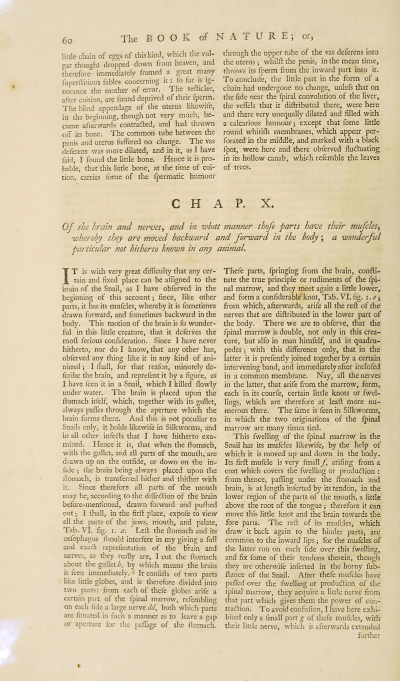 little chain of eggs of this kind, which the vul¬ gar thought dropped down from heaven, and therefore immediately framed a great many fuperftitious fables concerning it : fo far is ig¬ norance the mother of error. I he tefticles, after coition, are found deprived ofthi.it fpetm. The blind appendage of the uterus likewife, in the beginning, thougn not very much, be¬ came afterwards contracted, and had thiown off its bone. The common tube between the penis and uterus fuffered no change. The vas deferens was more dilated, and in it, as I have laid, I found the little bone. Hence it is pro¬ bable, that this little bone, at the time of coi¬ tion, carries fome of the fpermatic humour through the upper tube of the vas deferens into the uterusj whilft the penis, in the mean time* throw's its fperm from the inward part into it. To conclude, the little part in the form of a chain had undergone no change, unlefs that on the fide near the fpiral convolution of the liver, the veffels that it diftributed there, were here and there very unequally dilated and filled with a calcarious humour; except that fome little round whitifh membranes, which appear per¬ forated in the middle, and marked with a black fpot, were here and there obferved fluctuating in its hollow canals, which refemble the leaves of trees. CHAP. X. Of the brain and nerves, and in what manner thofe farts have their mufcles, whereby they are moved backward and forward in the body; a wonderful particular not hitherto Unown in any animal. ÏT is with very great difficulty that any cer¬ tain and fixed place can be affigned to the brain of the Snail, as I have obferved in the beginning of this account; fince, like other parts, it has its mufcles, whereby it is fometimes drawn forward, and fometimes backward in the body. This motion of the brain is fo wonder¬ ful in this little creature, that it deferves the mod ferious confideration. Since I have never hitherto, nor do I know, that any other has, obferved any thing like it in any kind of ani- nimal; I fhall, for that reafon, minutely de- fcribe the brain, and reprefent it by a figure, as I have feen it in a Snail, which I killed flowly under water. The brain is placed upon the ftomach itfelf, which, together with its gullet, always paffes through the aperture which the brain forms there. And this is not peculiar to Snails only, it holds likewife in Silkworms, and in all other infeCts that I have hitherto exa¬ mined. Hence it is, that when the flomach, with the gullet, and all parts of the mouth, are drawn up on the outfide, or down on the in¬ fide ; the brain being always placed upon the flomach, is transferred hither and thither with it. Since therefore all parts of the mouth may be, according to the di fleCtion of the brain before-mentioned, drawn forward and pufhed out; 1 fhall, in the firft place, expofe to view all the parts of the jaws, mouth, and palate, Tab. VI. fig. i. a. Left the ftomach and its oefophagus iliould interfere in my giving a full and exaCt reprefentation of the brain and nerves, as they really are, I cut the ftomach about the gullet b, by which means the brain is feen immediately. It confifts of two parts like little globes, and is therefore divided into two parts: from each of thefe globes arife a certain part of the fpinal marrow, refembling on each fide a large nerve dd, both which parts are fituated in fuch a manner as to leave a gap or aperture for the paflage of the ftomach. Thefe parts, Ipnnging from the brain, confti- tute the true principle or rudiments of the fpi¬ nal marrow, and they meet again a little lower, and form a confiderable knot, Tab. VI. fig. i. e 5 from which, afterwards, arife all the reft of the nerves that are diftributed in the lower part of the body. There we are to obferve, that the fpinal marrow is double, not only in this crea¬ ture, but alfo in man himfelf, and in quadru¬ pedes ; with this difference only, that in the latter it is prefently joined together by a certain intervening band, and immediately after inclofed in a common membrane. Nay, all the nerves in the latter, that arife from the marrow, form, each in its courfe, certain little knots or fwel- lings, which are therefore at leaft more nu¬ merous there. The fame is feen in Silkworms, in which the two originations of the fpinal marrow are many times tied. This fwelling of the fpinal marrow in the Snail has its mufcles likewife, by the help of which it is moved up and down in the body. Its firft mufcle is very finally’ arifing from a coat which covers the fwelling or production : from thence, paffing under the ftomach and brain, is at length inferted by its tendon, in the lower region of the parts of the mouth, a little above the root of the tongue ; therefore it can move this little knot and the brain towards the fore parts. The reft of its mufcles, wffiich draw it back again to the hinder parts, are common to the inward lips 5 for the mufcles of the latter run on each fide over this fwelling, and fix fome of their tendons therein, though they are otherwife inferted in the horny fub- ftance of the Snail. After thefe mufcles have pafled over the fwelling or production of the Ipinal marrow, they acquire a little nerve from that part which gives them the power of con¬ traction. To avoid confufion, I have here exhi¬ bited only a fmall part g of thefe mufcles, with their little nerve, which is afterwards extended further