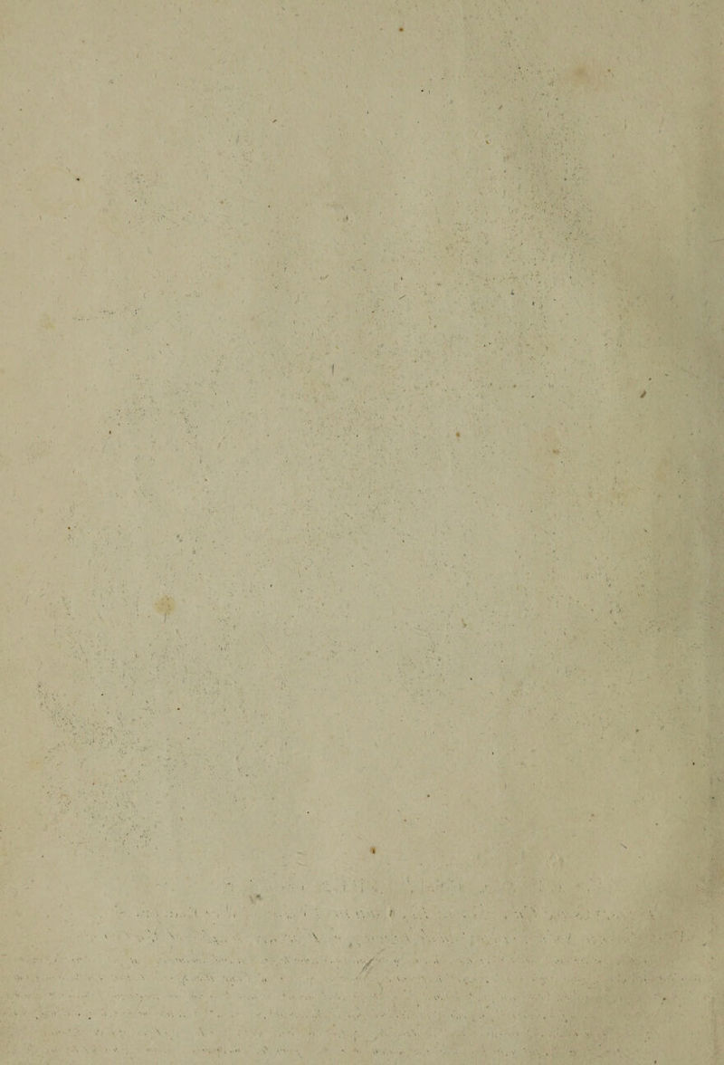 ! ' i , A - / . .. V A ■ ■■ .. ■. .A • ' / ■■ ' , v ‘ , Y' ) f- • ' ■ • •>.