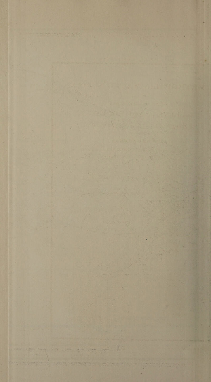 • * •'*v .*;* . ■ ' ■ -1 ' ‘‘ - . ■ . \ - < ' ' • ' ' - - •. .. . - V , „ • , 'V