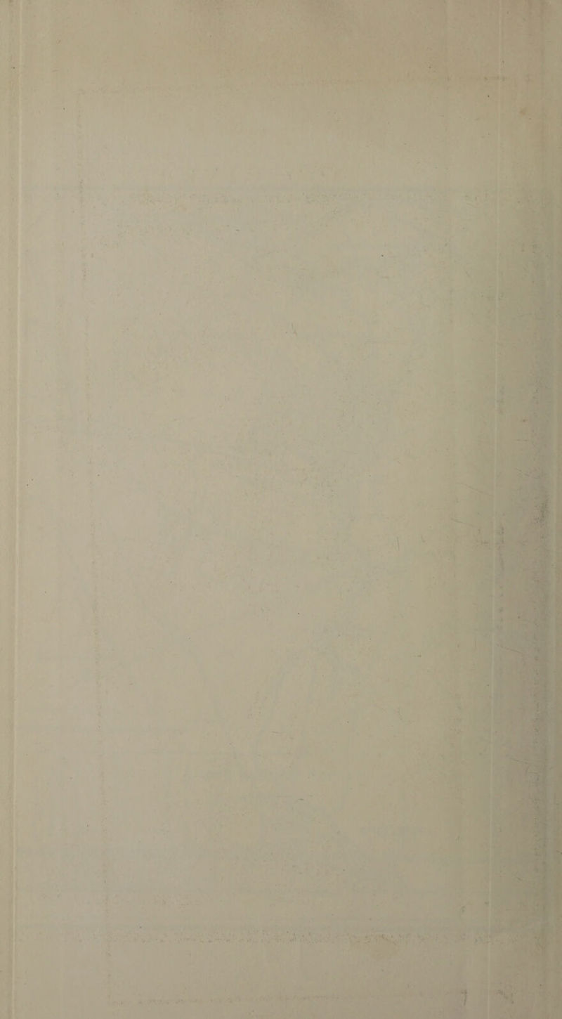 ' ... T V ' \ 1 ■ . ,n ■ >. ». - • •• • / v:.e..5 •'