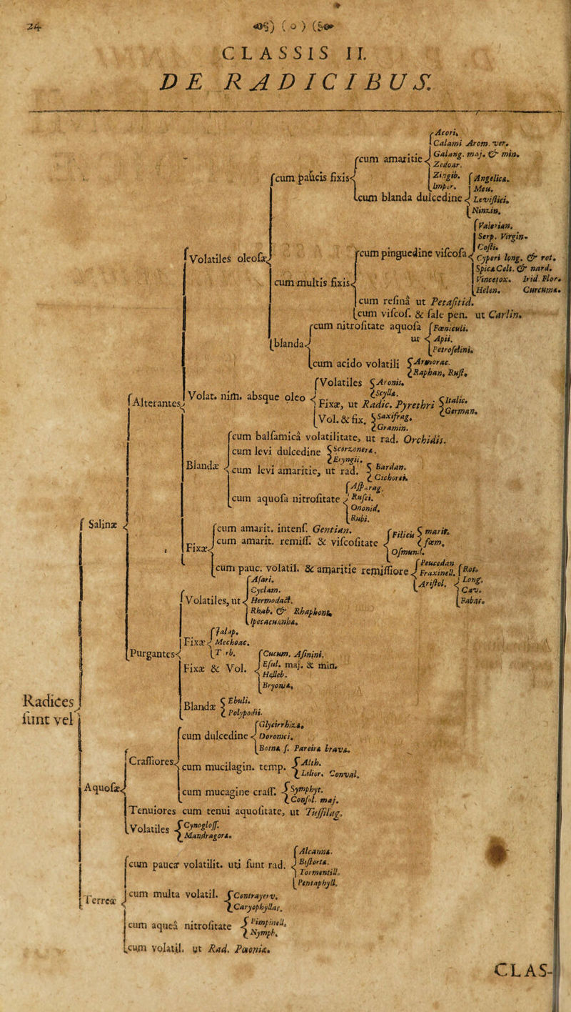 Radices iimt vel CLASSIS II. RADICIBUS. T~~ f Volatile^ oleofa^ Curent»»* Salinae &lt; /■Aeorit J Calami Arem. 'ver, IGaiang. tnaj. &amp;-min, reum amantie Zedoaf fcum faucis fixis&lt;j [f»^* [Ar,^e^CA- icum blanda dulcedine &lt;j Uviflicu JNinz,in. f Valt&gt;ian. I Serp, Virgin- fcumpinguedine vifeofa^^ kngm &amp; rot ISpiaCtit. 0T ncird. \hZ7x° lridm°rt [ cum refina ut Petapid. [cum vifcof. &amp; fale pen. ut Carlin. reum nitrolitate aquofa [Fanicuii. ibIlnda&lt;j u' \t,7/jm. [cum acido volatili SArmortlc- \Faphan, Fuji, fVolatiles $Aronis. ^Scylla. i Fixav, ut Radie. Pyrethri , n rJ IGeman, jVol.&amp;fix. ¥ax,fn'2t • a t^ramin. cum balfamica volatilitate, ut rad. Orchidis. cum levi dulcedine SSc6rz-oner*’. lE&gt;yngii. \ cum levi amaritie, ut rad. \ Ba , n: J CuhortH (Alterantes,! V°kt- nim‘ ab^ue 9*“ 4i~ ~ . Blanda pJP-rag. cum aquofa nitrolitate JRttfti. J Ononid. \Rnbi. fcum amarit. intenf. Gentian. fFHicu$marie‘ , jcum amarit. remilT. &amp; vifcolitate J Xf«m. | | Ofmund. ^ j PcUCsdftTJ | cum pauc. volatil. Sc amaritie remiiTiore J FraxineU. (Rot° CA,arL ' [Arifiol. JL0r‘Z° Afari. Cyclum. Purgantes-&lt; Volatiles, Ut &lt;* Hermodaft. j Rh.ab, 0* Rhaphonh l Ipecacmnht' C}al.tp. Fix&amp;'d Mechoac. IT rb. f Cucum. Afinini. Fixae &amp; Vol. j Cav. [Fabafo OOli, Aquofe&lt; f Glycirrhiz.it cum dulcedine Ooroniti. [bm»a /. Fartin IravA. Crafiiores.^cum muc^agin&gt; temp. £‘flt.h' ° 1 (^Lilior. Conval. craff. Spmphyt. (, Conjol. maj. Tenuiores cum tenui aqualnate, ut Tujfilag. .Volatiles iCS0£!°f fMan/iragort. fAlcannt, cum paucx volatilit. utj funt rad, )B‘florU- | TormentiU„ cum mucagine Terrea # cum multa volatil. CCentrayerv. (_Caryophyllarm cum aquea nitrolitate -f lp»pmtilt 1 £ Nympb. cu.m volatil* ut Rad. PaunU. [ Pe»taphyll„