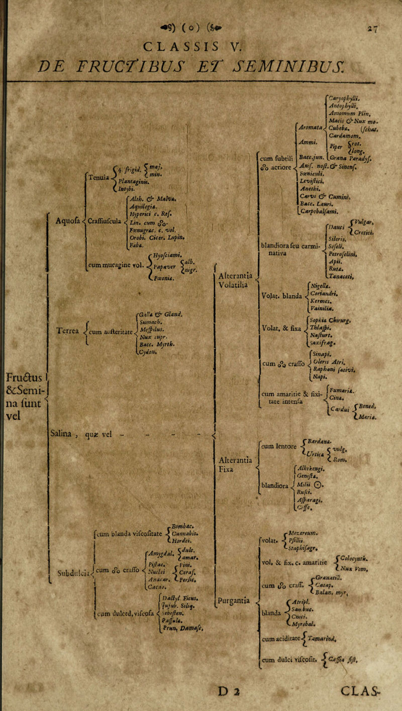 •*«) ( °) (8* CLASSIS V. DE FRUCTIBUS ET SEMINIBUS. N (4.^5?^ Tenuia Jp, .&lt;■mtn' j Plantagines. (Intybi. Alth. &amp; Malva, Aquilegia. Hyperici c. Ref. Aquofa ^Craffiufcula &lt;j Lin, cum Ooo. Fosnugrac. c. vol. I Orobi, Cicer. Lupi»• i r Hyofciami. cummucagine vol. 3 papaver ^gr C Poeonit. fGnlta pfi Gland. ■ | Sumach. Terrea J cum aufteritate J Mejpdus. ♦ J Nux cttpr. 1 Bacc. Myrth. {.Cydon, Frudhis I, &amp;Semi- na funt ^ vel Salina , qua; vel - cum fubtili o°o acriore &lt; Alterantia Volatilia Caryophylli. Antophylli, Amomum Plin. Macis QlNux mo- Aromata Jcubeba. [fchai. | Cardamom. Ammi- U,, %“■ 1 o°”g. Bacc.jun. tGrana Paradyf. Anif nofi. &amp;Sinenf. 'eceniculi. Leviflici. Anethi, Carvt &amp; Cuminis Bacc. Lauri. Carpobalfami. m ■ SVulgar' fDauci &lt; j t Cretici. J Sileris, blandiora feu carmi- J Sefeli. nativa s Petrofelini. &lt; i a. Apii. ! Ruta. VTanaceti, 1 ( Nigella. Vojat. blanda &lt; i Kermcs. [Vainilia, | Sophia Chirurg, Volat, &amp; fixa J Thlajpi, i Naflurt. Uaxifrag. f Sinapi. cum craffo ) oler Atri' j Raphani fativi. [Napi. . . „ ,, . (Fumaria. cum amaritie &amp; fixi- i „ r j Ltna tare mtenia S. i Cardui P™*' {.Maria. {Bombac. Cannabis. Hordei. (Amygdd. , . „ Pijlac. r pini. Sttbdlllda J CUm 00 Craff° i 4 Ceraf. 1 Anacar. C Perlic, [Cacxo. f Datlyl. Ficus. j 7ujub. Sihq. cum dulccd.vifcofa ^ Sebefien. \PaJJala. Dama fi. Alterantia Fixa r Bardana. cum lentore &lt; i C ™lg. C Rom. J^Purgantia ^ ■Urtica [ Alkekengi, | Gemjla. blandiora J Milii Q. j Rufci. 1 A/paragi. L C‘fe* {Mezereutn. Vfillii. Staphifdgr. vol, &amp; fix, c. amaritie P°^oc)nt^' LNux Vom, {GranatiU. Catap. Balan. myr, r A tripi. fcZt KMyrobal. cum aciditate Tamarind, cum dulci vifcofit. fifi.