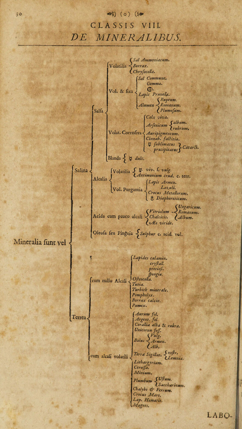 Mineralia funt vel CLASSIS VIII. VE MINERALIBUS. Vol. &amp; fixa &lt;| Salia &lt; Sal Ammoniaciim. (Volatilia &lt;^Borrax. Chryfocolla. 'Sal Commune. Gemma. (D- Lapis Prunellfi. C.Rupeum. Alumen &lt; Romanum. { Plumofum* Calx viva. . r . falbum. Arjemcum &lt; . C rubrum. Volat. Corrofiva &lt;■ Auripigmentum. Cinnab. falliti a. I Blanda £ Sublimatus 1 _ _ pr&lt;&amp;cipitatusfCatariU dulc. Salilla &lt; fVolatilia S viv‘ C ™lg- t j LAntimonium crud. c. terr. Alcalia J fLapis Armen. Vol. Purgantia J „ j Crocus Metallorum, t, 5 Diaphoreticum. C Ungaricum. CNitriolum -^Romanum. Acida cum pauco alcali &lt; Chalcitis. {Album. (zAEs viride. Oleofa feu Pinguia -^Sulphur c. acid. vel. Lapides calamin. cryftall. pretioji. Jpongia. fcum nullo Alcali &lt;; O fleo colla. Tutia. Turbith minerale. Terrea J cum Pompholyx. I’ Borrax calcin. Pumex. (Aurum fol. Argent. fol. Corallia alba &amp; rubra. Unicornu fojf. iVulg. Bolus «c Armen. j {Alb. ai«li voMli \T™ Lithargyrium. Cerujfa. Minium. Plumbum _ LSaccharinum. Chalybs &amp; Ferrum. Crocus Mart. Lap. Hxmatit, l Magnes.