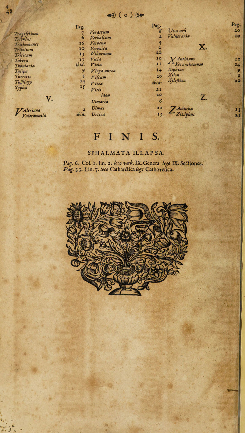 4 4t «$) ( o ) (S* Pag. Tragofelinon 7 Veratrum Tribulus 6 Verbafcum Tricbomanes 16 Verbena Trifolium 10 Verenica Triticum 15 Viburnum Tubera . 17 Vicia Tubularia ibid. Viola Tulipa 9 Virga aurea Turritis 5 Vifcum Ttjfilago 14 Vitex Tjpba if Vitis idaa V. Ulmaria TZAleriana * Valermnella 2 Ulmus ibid. Urtica Pag. * 2 4 2 20 1° 11 H 20 ibid' 21 20 6 20 Pag. 'TJva urji 20 Vulneraria 10 X. 'SVAnthium ^XXerantbemum 12 J4 Xipbion 9 Xylon 1 Xjlojhon 20 z. yVAcintha Ziz.iphus J5 21 FINIS. SPHALMATA ILLAPSA. P^g. 6. Coi. i. lin. 2. /oro verb. IX.Genera lege IX. Sediones. Pag. 33. Lin. 7.4&gt;« Cathardica/^ Cathaeretica. . •