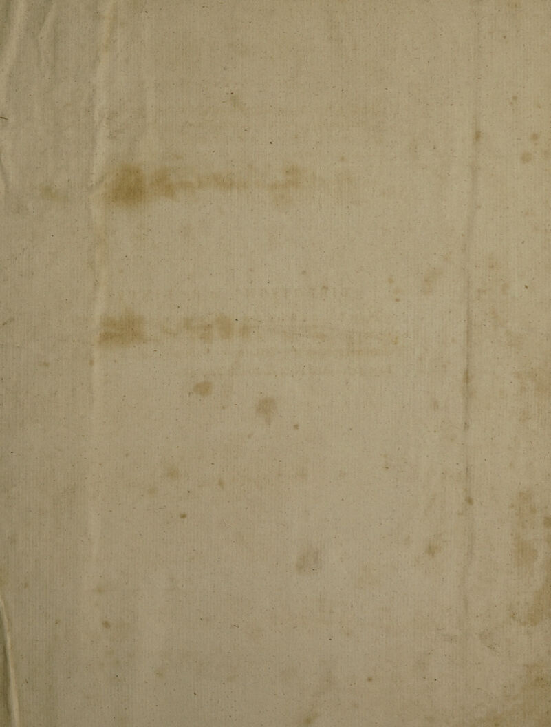r ■ — w . 4 \