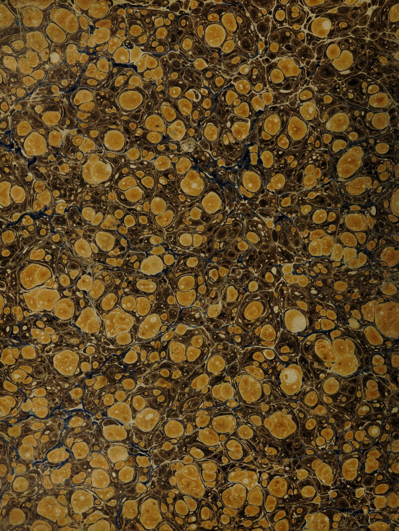 psrassga jftM / ' Wjf * v ' ■ si A'v *&■ ■ * sSw3'-^ v£i Ji >£lta&, V mwO tfjk Wimf 'A sStV V *' 1®&TO jpfr jg Mm '';~m 4nJI jRgBMV0*% ^ym^mkr ilmm L r> -I’M  3B(Vg f^jSr | P■ y. jpg^5***~:J ttE&fci:’ . ■SEBbL^ ' * \ jn ■ T M E-7^ L'^Liflk ft \ • ygf-j n.V- - - ®. > > •v| ':^y R & \\! )tm ;gk SSWPf! ^ ■. ,^^|- $l6s|&4 gfc. /J^B L# ft •■ ' • it j| ?1l n' i iv.j| S$^Lp Xs&V UST Hi |Wb ^7'' l^jgl