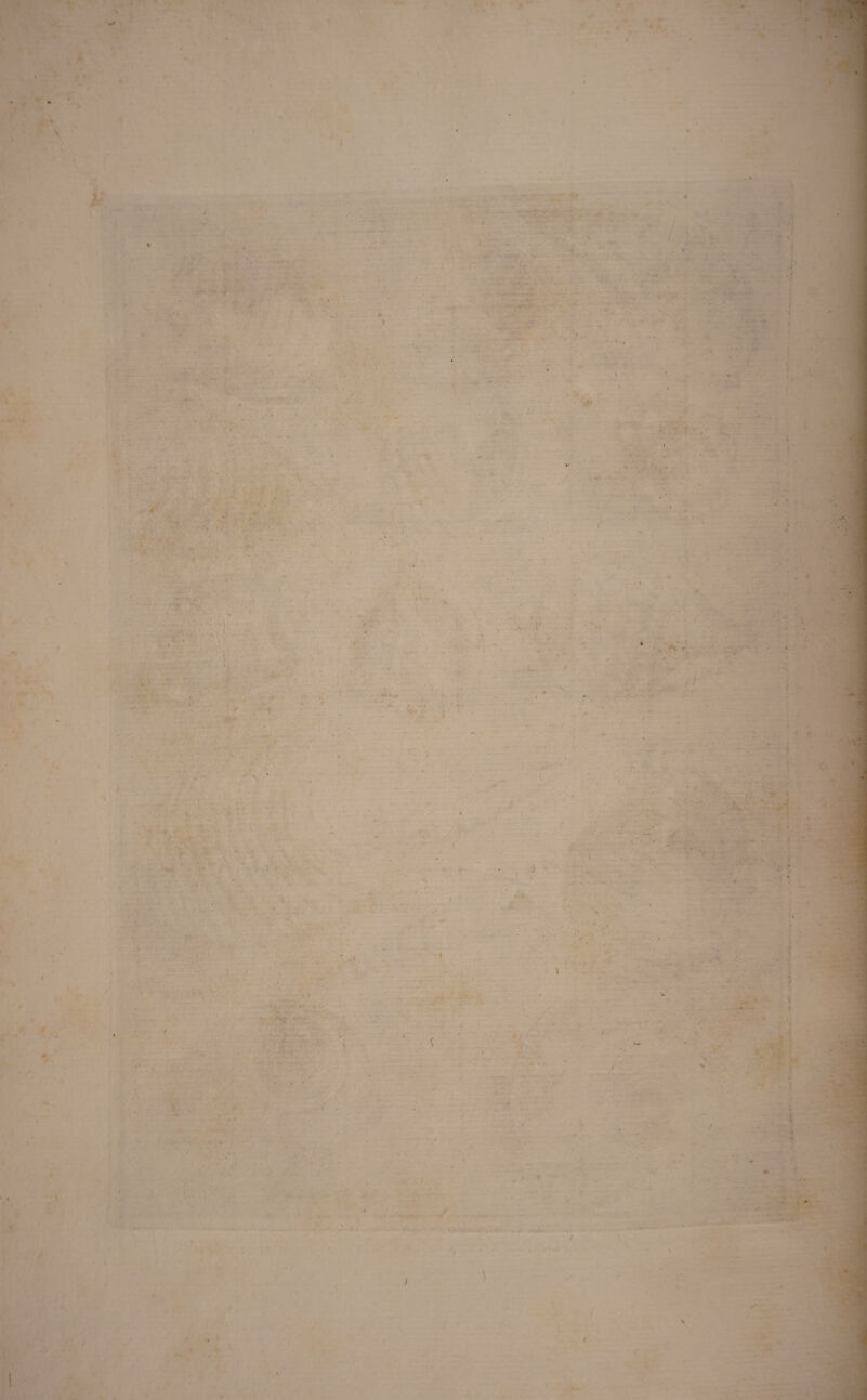 «s v » * ■» » . . ► . % - i ■: . , • . 1 ^ ■ i ■ * 'ii •’ ' ■* j. . 4 '-I2 •' . *• - r , r . • . ... ■ •, ■ • • • . . . V. ... . ) ,' ' ‘ ,4 4 . . '► „ '. 1 ' • , k * ' • 'r * » - * * '* ■ . - # , J • ’ - • - • • . ’ : i' . . •* t ' ■ < < ■ ' ■ - • • < . • >, * ■ ' * > • * .* <