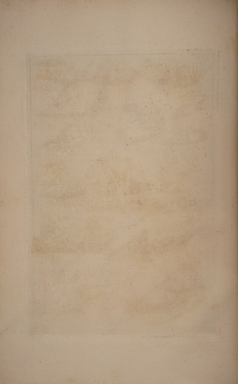 \ * \ 'I / \ v / * *. , * V • I » »