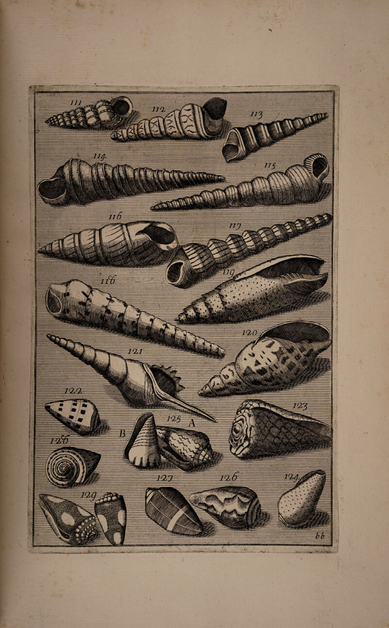 % r' * \m SjJW ^ *$ ijfj ^ ^ iq i y v; m tS* :XZSS1 ■ '?/;■ 4L&--V-V ^ 'V *