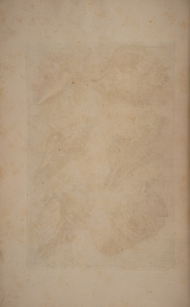 \ 5 :(■ % / \ V t / r \ / i