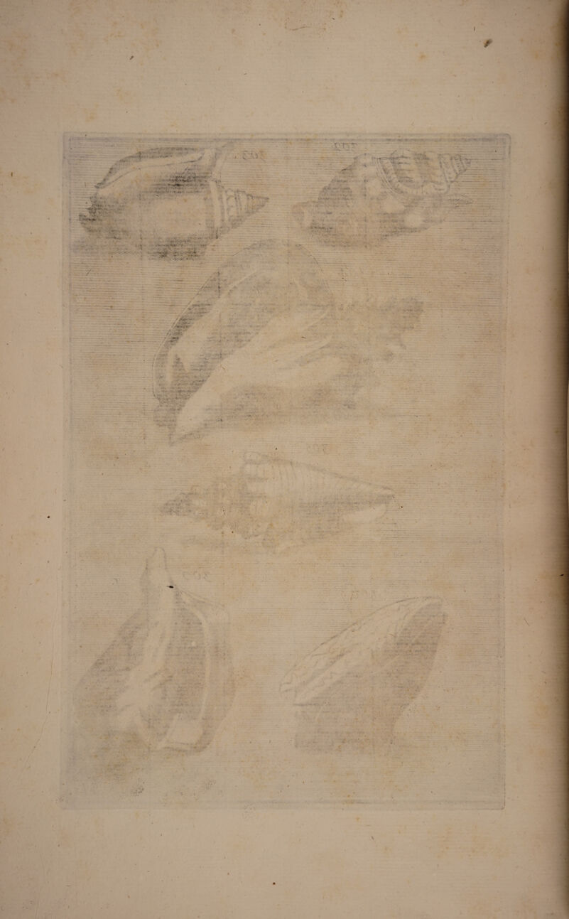 r ••-ft» .. .. . ... •}„ - i - ■ r ■ ■ •*W-. . ' ,^-f ’ »«■ » ... •>' ■*» • <-.r%v. «Jf S •« A’ *. —^ * V ■p ,*• * r 1 . - - - a^ v ,. . •* A *•'***• ‘«t - - .• .. V:v. -• • •, • .v ••; A • *>V' V :!V ’.<•-> • ■» “£<•*** .'f <?-• -f \ ... % ., w 4V V . ' . * •* V i Wi /#».■>. V* • i. • ,■•*' > •1 • . •* *»*• rv . . i 4v, ^ i» » i - -•.. ’• • r» — •'•;•*• ••' • -4>m- ■ - ••.>■: • v .. /*•<•' -•• \ ' ‘ ■* - , . ,.. •' <■'■.• t \ V' v. ' -■ * ' . - • ■ • V*' v»- TU- - • i V>'J. -V - * . - ♦ vhi •• y Sif ~.T •■••-t*. ..<• *• --- ,«/;< .?•'• *'• «yt*-vb v ». '%\w ' • a * ... • ■* .-• •< •• . **>s.h.* , *■ -7 -- . .. - /; •♦' ,-V V.i • • : \ • - y* .«s • •.•- •«: .•* *• *>* ‘ -‘v : i % . -V - *S' ..... >. «•••*■*.. ». ..... .- . . -;«• ■» i- .... ••• . ' • .v.*^..... . 'i • *•>. *■ « 'A .... v '.*'**' • *’ • ■*’ / '* > •. .... ; - • : --e'.-.. - •/ „ .f v,p»..' < »ViA> . A-1* • •V'** v' VV^. /■ ..s .. \ -  ..y\v\. ... !•' .- i-' -.. ..' * ■•'•■ - K J •«* - ' .* > •'• i ' 1 A- > :‘y .<*■■ . v o ! • •«■ •V •.*..r* A- - k *> - . •?** cv » ..'. A. T» * -- -j a ■ «/ - * *■> .. -• .* r*ar-‘ , *• ‘4 J i*f* • - *l - > v -a .5J . .w - \ : •■ ^ • - • • ... ;<r i : - ■ - • • s~ •** ■ t 1* <* -■ * •*• • V • \ .- ■ • - ». , J -• • II ' .i ‘ ..- ■ • » V**» •T ■ ■ ';:v - \>:v , ' ■ ■ V • f - . ... •Vi • -• • : • »vX- aifW^ •' t *• • ■ • ■ -M'. . * :. «r *». »• v < 1 : .■ • • . • /, . ■ i-. ■ .‘v;i •.■■’■ < f 4 '• 4 ... ' .. - .... ... . ,r. :. . ,v , .4 ,J - • f V. ;) , v : t • ', ' • P -v • . *• I v * - - ><■' \ . . - u » i fw * '' 4 n y ffb ‘ i* -y.'*' . .'^.r • •**•• ...» •-e, .• - >. • ■ > <: r ' •' : jr •• •■ %*v’ v-. •'• ‘ . ■ > t « v' W S1:* \w<: v* . ■ (.