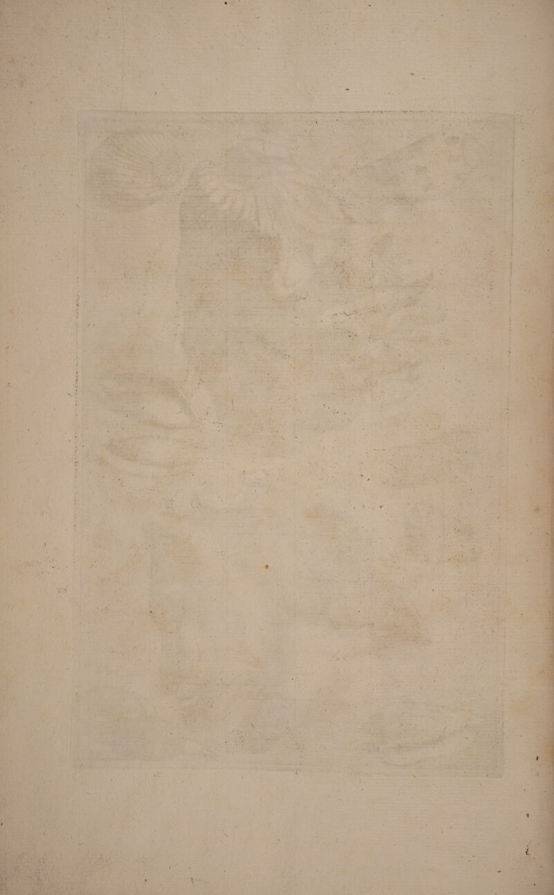 / t J > J - * .* \. ( 'f' i \ \ )