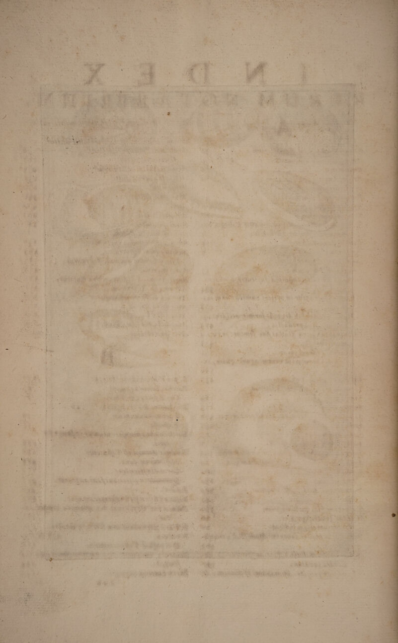 * , ■ \ y v r & . V- 1 - ■; . \ . 2 5 ■ • ■ ■ ■ * •. *> ■U: W: i' . .. i J’ . i ' ' 4. 1 ••• #. . i * ■ , • y X' ■ . ■ - : - . S. • , X , . ■ \ a u“ > -• ' ' - •« - i . .. ‘ ■ X ' * y. •- . 7 '; • y • . • .. • * , / • • ; * * ■ * A V - V- . ‘ !•* ' i • ' ’ i' , ' * * T •i ' K 'i . it , \  . X . • ■ • ■ ' 1 ■ /' ' • ' ' . * (■ % 4 K \ S' e V v 1,1 '• L i . /- *1 ; *W- ,S ■ * * ' ' * * Xh -V'- V - ■ V ff> | ’ A », < / •V i ■ / - /;• v r, 4? ■ ■< :« ■ 5 : yite«r :• ■ y . . * >• •* -. . .*■ < t*; ■ . » ' r • ■ v i y • ■ 'V ,r *... <•. • • f A» '• . .. . . ' • * * • V i i • ,,*#r ■t