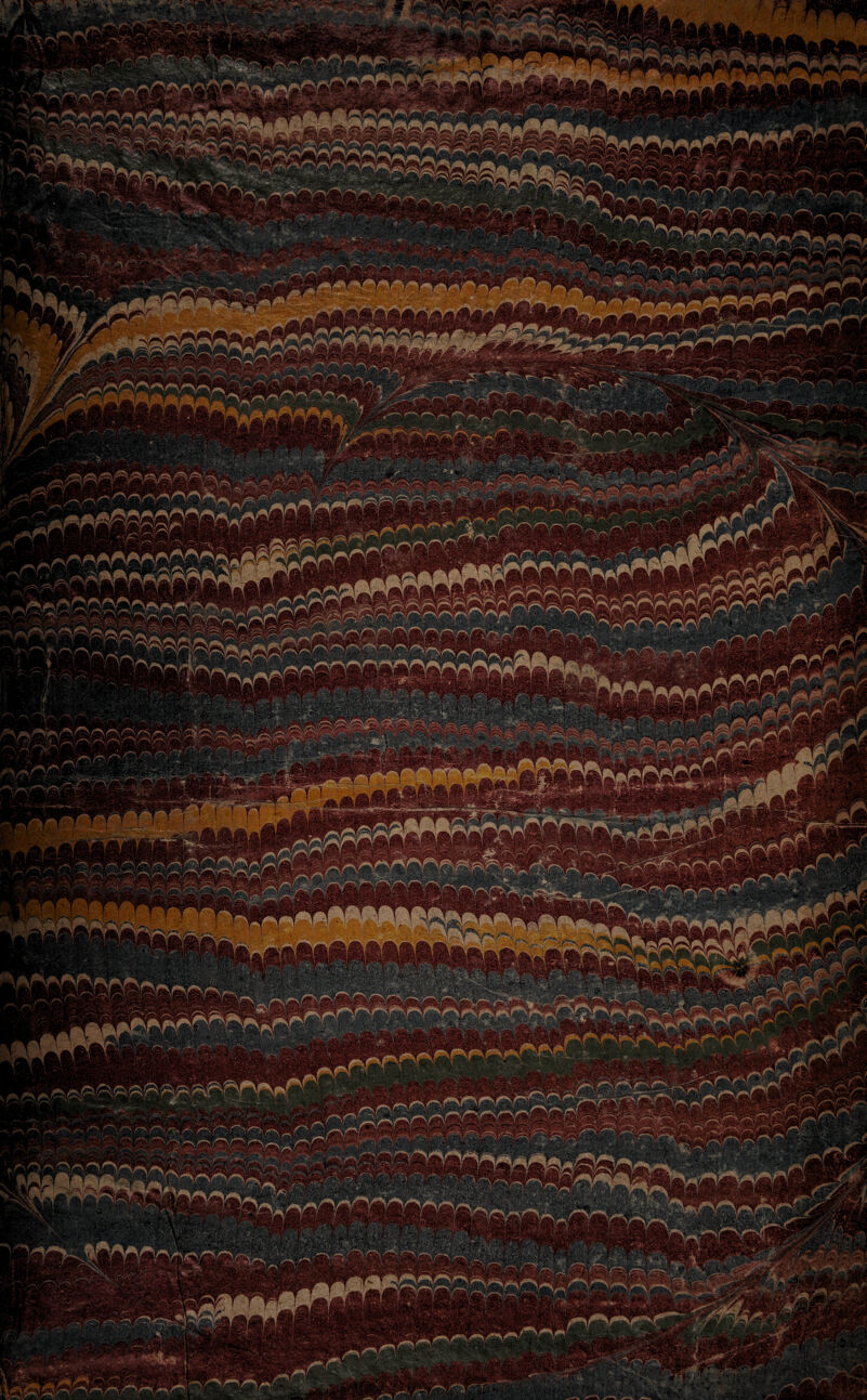 , MrS >^<VvSn 'yym sr^ ^ors ACC2&2& tegxvT* '/-sr>^^ 'HrVH -. rSfYT -■ ^ - 'vv*/ :*!<*£ ° ^rv>S q:::' - 1 - .-:  YH^-iJwTOnOT ; - •: • r&m. ^mrnmmmmmmm