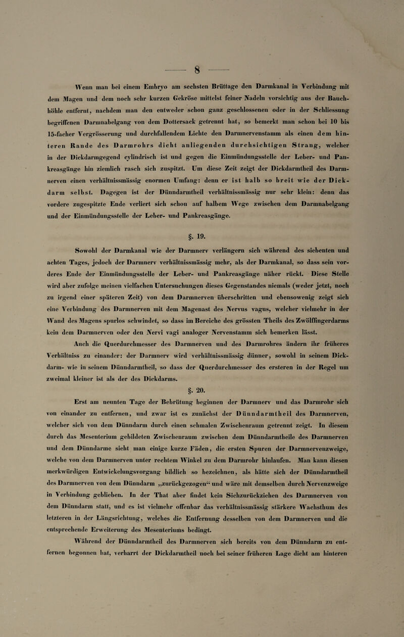 Wenn man bei einem Embrjo am sechsten Brüttage den Darmkanal in Verbindung mit dem Magen und dem noch sehr kurzen Gekröse mittelst feiner Nadeln vorsichtig aus der Bauch¬ höhle entfernt, nachdem man den entweder schon ganz geschlossenen oder in der Schliessung begriffenen Darmnabelgang von dem Dottersack getrennt hat, so bemerkt man schon bei 10 bis 15-facher Vergrösserung und durchfallendem Lichte den Darmnervenstamm als einen dem hin¬ teren R ande des D armrohrs dicht anliegenden durchsichtigen Strang, welcher in der Dickdarmgegend cjlindrisch ist und gegen die Einmündungsstelle der Leber- und Pan¬ kreasgänge hin ziemlich rasch sich zuspitzt. Um diese Zeit zeigt der Dickdarmtheil des Darm- uerven einen verhältnissmässig enormen Umfang: denn er ist halb so breit wie der Dick¬ darm selbst. Dagegen ist der Diinndarmtheil verhältnissmässig nur sehr klein: denn das vordere zugespitzte Ende verliert sich schon auf halbem Wege zwischen dem Darmnabelgang und der Einmündungsstelle der Leber- und Pankreasgänge. §. 19. Sowohl der Darmkanal wie der Darmnerv verlängern sich während des siebenten und achten Tages, jedoch der Darmnerv verhältnissmässig mehr, als der Darmkanal, so dass sein vor¬ deres Ende der Einmündungsstelle der Leber- und Pankreasgänge näher rückt. Diese Stelle wird aber zufolge meinen vielfachen Untersuchungen dieses Gegenstandes niemals (weder jetzt, noch zu irgend einer späteren Zeit) von dem Darmnerven überschritten und ebensowenig zeigt sich eine Verbindung des Darmnerven mit dem Magenast des Nervus vagus, welcher vielmehr in der Wand des Magens spurlos schwindet, so dass im Bereiche des grössten Tlieils des Zwölffingerdarms kein dem Darmnerven oder den Nervi vagi analoger Nervenstamm sich bemerken lässt. Auch die Querdurchmesser des Darmnerven und des Darmrohres ändern ihr früheres Verhältniss zu einander: der Darmnerv wird verhältnissmässig dünner, sowohl in seinem Dick¬ darm- wie in seinem Diinndarmtheil, so dass der Querdurchmesser des ersteren in der Regel um zweimal kleiner ist als der des Dickdarms. §. 20. Erst am neunten Tage der Bebrütung beginnen der Darmnerv und das Darmrohr sich von einander zu entfernen, und zwar ist es zunächst der Diinndarmtheil des Darmnerven, welcher sich von dem Dünndarm durch einen schmalen Zwischenraum getrennt zeigt. In diesem durch das Mesenterium gebildeten Zwischenraum zwischen dem Dünndarmtheile des Darmnerven und dem Dünndärme sieht man einige kurze Fäden, die ersten Spuren der Darmnervenzweige, welche von dem Darmnerven unter rechtem Winkel zu dem Darmrohr hinlaufen. Man kann diesen merkwürdigen Entwickelungsvorgang bildlich so bezeichnen, als hätte sich der Diinndarmtheil des Darmnerven von dem Dünndarm „zurückgezogen“ und wäre mit demselben durch Nervenzweige in \ erbindung geblieben. In der That aber findet kein Sichzurückziehen des Darmnerven von dem Dünndarm statt, und es ist vielmehr offenbar das verhältnissmässig stärkere Wachsthum des letzteren in der Längsrichtung, welches die Entfernung desselben von dem Darmnerven und die entsprechende Erweiterung des Mesenteriums bedingt. Während der Diinndarmtheil des Darmnerven sich bereits von dem Dünndarm zu ent¬ fernen begonnen hat, verharrt der Dickdarmtheil noch bei seiner früheren Lage dicht am hinteren