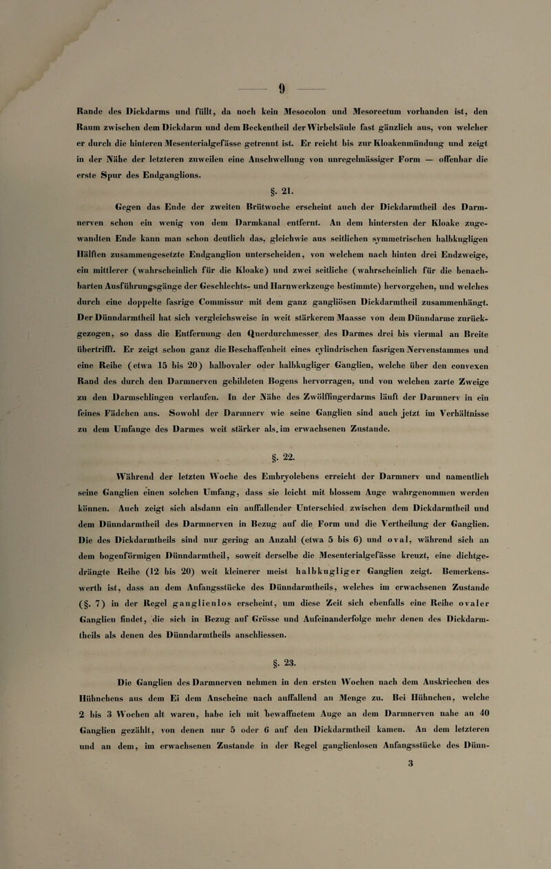 Rande des Dickdarms und füllt, da noch kein Mesocolon und Mesorectuin vorhanden ist, den Raum zwischen dem Dickdarm und dem Reckentheil der Wirbelsäule fast gänzlich aus, von welcher er durch die hinteren Mesenterialgefässe getrennt ist. Er reicht bis zur Kloakenmünduug und zeigt in der Nähe der letzteren zuweilen eine Anschwellung von unregelmässiger Form — offenbar die erste Spur des Endganglions. §• 21. Gegen das Ende der zweiten Rriitwoche erscheint auch der Dickdarmtheil des Darm¬ nerven schon ein wenig von dem Darmkanal entfernt. An dem hintersten der Kloake zuge¬ wandten Ende kann man schon deutlich das, gleichwie aus seitlichen sjmmctrischen halbkugligen Hälften zusammengesetzte Endganglion unterscheiden, von welchem nach hinten drei Endzweige, ein mittlerer (wahrscheinlich für die Kloake) und zwei seitliche (wahrscheinlich für die benach¬ barten Ausführungsgänge der Geschlechts- und Harnwerkzeuge bestimmte) hervorgehen, und welches durch eine doppelte fasrige Commissur mit dem ganz gangliösen Dickdarmtheil zusammenhängt. D er Dünndarmtheil hat sich vergleichsweise in weit stärkerem Maasse von dem Dünndarme zurück¬ gezogen, so dass die Entfernung den Querdurchmesser des Darmes drei bis viermal an Rreite übertrifTt. Er zeigt schon ganz die Reschaffenheit eines cjlindrischen fasrigen Nervenstammes und eine Reihe (etwa 15 bis 20) halbovaler oder halbkugliger Ganglien, welche über den convexen Rand des durch den Darmnerven gebildeten Rogens hervorragen, und von welchen zarte Zweige zu den Darmschlingen verlaufen. In der Nähe des Zwölffingerdarms läuft der Darmnerv in ein feines Fädchen aus. Sowohl der Darmnerv wie seine Ganglien sind auch jetzt im Verhältnisse zu dem Umfange des Darmes weit stärker als. im erwachsenen Zustande. §. 22. Während der letzten Woche des Embrjolebens erreicht der Darmnerv und namentlich seine Ganglien einen solchen Umfang, dass sie leicht mit blossem Auge wahrgenommen werden können. Auch zeigt sich alsdann ein auffallender Unterschied zwischen dem Dickdarmtheil und dem Dünndarmtheil des Darmnerven in Rezug auf die Form und die Vertheilung der Ganglien. Die des Dickdarmtheils sind nur gering an Anzahl (etwa 5 bis 6) und oval, während sich an dem bogenförmigen Dünndarmtheil, soweit derselbe die Mesenterialgefässe kreuzt, eine dichtge¬ drängte Reihe (12 bis 20) weit kleinerer meist halbkugliger Ganglien zeigt. Bemerkens¬ werth ist, dass an dem Anfangsstücke des Dünndarmtheils, welches im erwachsenen Zustande (§.7) in der Regel ganglienlos erscheint, um diese Zeit sich ebenfalls eine Reihe ovaler Ganglien findet, die sich in Bezug auf Grösse und Aufeinanderfolge mehr denen des Dickdarm¬ theils als denen des Dünndarmtheils anschliessen. §• 23. Die Ganglien des Darmnerven nehmen in den ersten Wochen nach dem Auskriechen des Hühnchens aus dem Ei dem Anscheine nach auffallend an Menge zu. Bei Hühnchen, welche 2 bis 3 Wochen alt waren, habe ich mit bewaffnetem Auge an dem Darmnerven nahe an 40 Ganglien gezählt, von denen nur 5 oder 6 auf den Dickdarmtheil kamen. Au dem letzteren und an dem, im erwachsenen Zustande in der Regel ganglienlosen Anfangsstücke des Dünn- 3