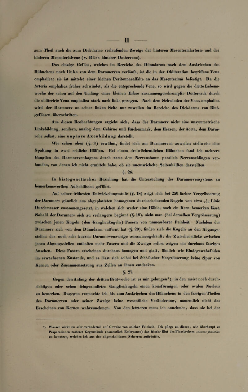 zum Theil auch die zum Dickdarme verlaufenden Zweige der hinteren Mcsenterialarterie und der hinteren Mesenterialvene (v. Bars hinterer Dottervene). Das einzige Gefäss, welches im Bereiche des Dünndarms nach dem Auskriechen des Hühnchens noch links von dem Darmnerven verläuft, ist die in der Ohlitcration begriffene Vena omplialica: sie ist mittelst einer kleinen Peritonnaealfalte an das Mesenterium befestigt. Da die Arteria omplialica früher schwindet, als die entsprechende Vene, so wird gegen die dritte Lebens¬ woche der schon auf den Umfang einer kleinen Erbse zusammengeschrumpfte Dottersack durch die obliterirte Vena omplialica stark nach links gezogen. Nach dem Schwinden der Vena omplialica wird der Darmnerv an seiner linken Seite nur zuweilen im Bereiche des Dickdarms von Blut¬ gefässen überschritten. Aus diesen Beobachtungen ergiebt sich, dass der Darmnerv nicht eine unsymmetrische Linksbildung, sondern, analog dem Gehirne und Rückenmark, dem Herzen, der Aorta, dem Darm¬ rohr selbst, eine unpaare Axenbildung darstellt. Wie schon oben (§. 3) erwähnt, findet sich am Darmnerven zuweilen stellweise eine Spaltung in zwei seitliche Hälften. Bei einem dreiwöchentlichen Hühnchen fand ich mehrere Ganglien des Darmnervenbogens durch zarte dem Nervenstamm parallele Nervenschlingen ver¬ bunden, von denen ich nicht ermittelt habe, ob sie unentwickelte Seitenhälften darstellten. §. 26. In histogenetischer Beziehung hat die Untersuchung des Darmnervensystems zu bemerkenswerthen Aufschlüssen geführt. Auf seiner frühesten Entwickelungsstufe (§. 18) zeigt sich bei 250-faclier Vergrösserung der Darmnerv gänzlich aus abgeplatteten homogenen durchscheinenden Kugeln von etwa Linie Durchmesser zusammengesetzt, in welchen sich weder eine Höhle, noch ein Kern bemerken lässt. Sobald der Darmnerv sich zu verlängern beginnt (§.19), sieht man (bei derselben Vergrösserung) zwischen jenen Kugeln (den Ganglienkugeln) Fasern von unmessbarer Feinheit. Nachdem der Darmnerv sich von dem Dünndarm entfernt hat (§. 20), finden sich die Kugeln an den Abgangs¬ stellen der noch sehr kurzen Darmnervenzweige zusammengehäuft: die Zwischenstücke zwischen jenen Abgangsstellen enthalten mehr Fasern und die Zweige selbst zeigen ein durchaus fasriges Ansehen. Diese Fasern erscheinen durchaus homogen und glatt, ähnlich wie Bindegewebefäden im erwachsenen Zustande, und es lässt sich selbst bei 500-facher Vergrösserung keine Spur von Kernen oder Zusammensetzung aus Zellen an ihnen entdecken. §. 27. Gegen den Anfang der dritten Brütwoche ist es mir gelungen*), in den meist noch durch¬ sichtigen oder schon feingranulirten Ganglienkugeln einen kreisförmigen oder ovalen Nucleus zu bemerken. Dagegen vermochte ich bis zum Auskriechen des Hühnchens in den fasrigen Theilen des Darmnerven oder seiner Zweige keine wesentliche Veränderung, namentlich nicht das Erscheinen von Kernen wahrzunehmen. Von den letzteren muss ich annehmen, dass sie bei der *) Wasser wirkt zu sehr verändernd auf Gewebe von solcher Feinheit. Ich pflege zu diesen, wie überhaupt zu Präparationen zarterer Gegenstände (namentlich Embryonen) das frische Blut des Flusskrebses (Astacus fluviatilis) zu benutzen, welches ich aus den abgeschnittenen Scheeren aufträufclc.