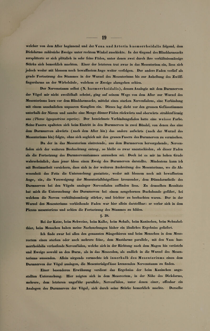 1» welcher von dem After beginnend und der Vena und Arteria h aernorrhoidalis folgend, dem Dickdarme zahlreiche Zweige unter rechtem Winkel zuschickte. In der Gegend des Blinddarmsacks zersplitterte er sich plötzlich in sehr feine Fäden, unter denen zwei durch ihre verhältnissmässige Stärke sich bemerklich machten. Einer der letzteren trat zwar in das Mesenterium ein, liess sich jedoch weder mit blossem noch bewaffnetem Auge weiter verfolgen. Der andere Faden verlief als grade Fortsetzung des Stammes in der Wurzel des Mesenteriums bis zur Anheftung des Zwölf¬ fingerdarms an der Wirbelsäule, welchem er Zweige abzugeben schien. Der Nervenstamm selbst (N. haemorrhoidalis), dessen Analogie mit dem Darmnerven der Vögel mir nicht zweifelhaft scheint, ging auf seinem Wege von dem After zur Wurzel des Mesenteriums kurz vor dem Blinddarmsacke, mittelst eines starken Nervenfadens, eine Verbindung mit einem ansehnlichen unpaaren Ganglion ein. Dieses lag dicht vor den grossen Gefässstämmen unterhalb der Nieren und sandte eine Menge dünner Fäden rückwärts und oberwärts strahlenförmig aus CPlexus hypogastricus superiorj. Der bezeichnete Verbindungsfaden hatte eine weisse Farbe. Seine Fasern spalteten sich beim Eintritt in den Darmnerven in zwei Bündel, von denen das eine dem Darmnerven abwärts (nach dem After hin) das andere aufwärts (nach der Wurzel des Mesenteriums hin) folgte, ohne sich sogleich mit den grauen Fasern des Darmnerven zu vermischen. Da der in das Mesenterium eintretende, aus dem Darmnerven hervorgehende, Nerven- faden sich der weiteren Beobachtung entzog, so bleibt es zwar unentschieden, ob dieser Faden als die Fortsetzung des Darumervenstammes anzusehen sei. Doch ist es mir im hohen Grade wahrscheinlich, dass jener bloss einen Zweig des Darmnerven darstellte. Mindestens kann ich mit Bestimmtheit versichern, dass sich in der weiteren Ausbreitung des Mesenteriums, wo die Ab¬ wesenheit des Fetts die Untersuchung gestattete, weder mit blossem noch mit bewaffnetem Auge, ein, die Verzweigung der Mesenterialblutgefässe kreuzender, dem Dünndarmtheile des Darmnerven bei den Vögeln analoger Nervenfaden aulfinden liess. Zu demselben Besultate hat mich die Untersuchung des Darmnerven bei einem neugebornen Dachshunde geführt, bei welchem die Nerven verhältnissmässig stärker, und leichter zu beobachten waren. Der in der Wurzel des Mesenteriums verbleibende Faden war hier allein darstellbar: er verlor sich in dem Plexus mesentericus und schien die Fortsetzung des Stammes zu bilden. §. 38. Bei der Katze, beim Schweine, beim Kalbe, beim Schafe, beim Kaninchen, beim Schnabel¬ thier, beim Menschen haben meine Nachsucliungen bisher ein ähnliches Ergebniss geliefert. Ich finde zwar bei allen den genannten Säugethieren und beim Menschen in dem Meso- rectum einen starken oder auch mehrere feine, dem Mastdarme parallele, mit den Vasa hae- morrhoidalia verlaufende Nervenfäden, welche sich in der Richtung nach dem Magen hin verästeln und Zweige sowohl an den Darm, als in das Mesocolon, als endlich in die Wurzel des Mesen¬ teriums aussenden. Allein nirgends vermochte ich innerhalb des Mesenteriums einen dem Darmnerven der Vögel analogen, die Mesenterialgefässe kreuzenden Nervenstamm zu finden. Einer besonderen Erwähnung verdient das Ergebniss der beim Kaninchen ange- stellten Untersuchung. Hier zeigten sich in dem Mesorectum, in der Nähe des Dickdarms, mehrere, dem letzteren ungefähr parallele, Nervenfäden, unter denen einer, offenbar ein Analogon des Darmnerven der Vögel, sich durch seine Stärke bemerklich machte. Derselbe