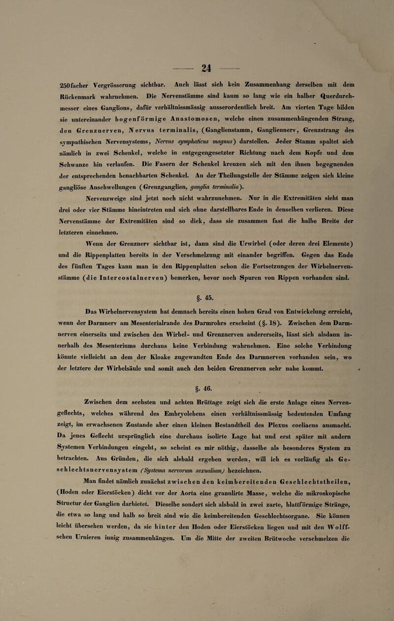 250facher Vergrösserung sichtbar. Auch lässt sich kein Zusammenhang derselben mit dem Rückenmark wahrnehmen. Die Nervenstämme sind kaum so lang wie ein halber Querdurch- messer eines Ganglions, dafür verhältnissmässig ausserordentlich breit. Am vierten Tage bilden sie untereinander bogenförmige Anastomosen, welche einen zusammenhängenden Strang, den Grenznerven, Nervus terminalis, (Ganglienstamm, Gangliennerv, Grenzstrang des sjmpathischen Nervensystems, Nervus symiphaücus magnus) darstellen. Jeder Stamm spaltet sich nämlich in zwei Schenkel, welche in entgegengesetzter Richtung nach dem Kopfe und dem Schwänze hin verlaufen. Die Fasern der Schenkel kreuzen sich mit den ihnen begegnenden der entsprechenden benachbarten Schenkel. An der Theilungstelle der Stämme zeigen sich kleine gangliöse Anschwellungen (Grenzganglien, ganglia terminalia). Nervenzweige sind jetzt noch nicht wahrzunehmen. Nur in die Extremitäten sieht man drei oder vier Stämme hineintreten und sich ohne darstellbares Ende in denselben verlieren. Diese Nervenstämme der Extremitäten sind so dick, dass sie zus.ammen fast die halbe Breite der letzteren einnehmen. Wenn der Grenznerv sichtbar ist, dann sind die Urwirbel (oder deren drei Elemente) und die Rippenplatten bereits in der Verschmelzung mit einander begriffen. Gegen das Ende des fünften Tages kann man in den Rippenplatten schon die Fortsetzungen der Wirbelnerven- stämme (die Intercostalnerven) bemerken, bevor noch Spuren von Rippen vorhanden sind. §. 45. Das Wirbelnervensjstem hat demnach bereits einen hohen Grad von Entwickelung erreicht, wenn der Darmnerv am Mesenterialrande des Darmrohrs erscheint (§. 18). Zwischen dem Darm¬ nerven einerseits und zwischen den Wirbel- und Grenznerven andererseits, lässt sich alsdann in¬ nerhalb des Mesenteriums durchaus keine Verbindung wahrnehmen. Eine solche Verbindung könnte vielleicht an dem der Kloake zugewandten Ende des Darmnerven vorhanden sein, wo der letztere der Wirbelsäule und somit auch den beiden Grenznerven sehr nahe kommt. §. 46. Zwischen dem sechsten und achten Briittage zeigt sich die erste Anlage eines Nerven- geflechts, welches während des Embryolebens einen verhältnissmässig bedeutenden Umfang zeigt, im erwachsenen Zustande aber einen kleinen Bestandteil des Plexus coeliacus ausmacht. Da jenes Geflecht ursprünglich eine durchaus isolirte Lage hat und erst später mit andern Systemen Verbindungen eingeht, so scheint es mir nöthig, dasselbe als besonderes System zu betrachten. Aus Gründen, die sich alsbald ergeben werden, will ich es vorläufig als Ge¬ schlechtsnervensystem fSystema nervorum sexualiumj bezeichnen. Man findet nämlich zunächst zwischen den keimbereitenden Geschlechtstheilen, (Hoden oder Eierstöcken) dicht vor der Aorta eine granulirte Masse, welche die mikroskopische Structur der Ganglien darbietet. Dieselbe sondert sich alsbald in zwei zarte, blattförmige Stränge, die etwa so lang und halb so breit sind wie die keimbereitenden Geschlechtsorgane. Sie können leicht übersehen werden, da sie hinter den Hoden oder Eierstöcken liegen und mit den Wolff- sclien Urnieren innig Zusammenhängen. Um die Mitte der zweiten Brütwoche verschmelzen die