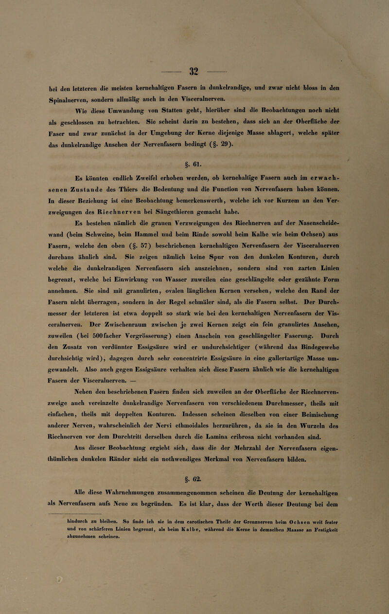 bei den letzteren die meisten kernehaltigen Fasern in dunkelrandige, und zwar nicht bloss in den Spinalnerven, sondern allmälig auch in den Visceralnerven. Wie diese Umwandung von Statten geht, hierüber sind die Beobachtungen noch nicht als geschlossen zu betrachten. Sie scheint darin zn bestehen, dass sich an der Oberfläche der Faser und zwar zunächst in der Umgebung der Kerne diejenige Masse ahlagert, welche später das dunkelrandige Ansehen der Nervenfasern bedingt (§. 29). §. 61. Es könnten endlich Zweifel erhoben werden, ob kernehaltige Fasern auch im erwach¬ senen Zustande des Thiers die Bedeutung und die Function von Nervenfasern haben können. In dieser Beziehung ist eine Beobachtung bemerkenswerth, welche ich vor Kurzem an den Ver¬ zweigungen des Riechnerven bei Säugethieren gemacht habe. Es bestehen nämlich die grauen Verzweigungen des Riechnerven auf der Nasenscheide¬ wand (beim Schweine, beim Hammel und beim Rinde sowohl beim Kalbe wie beim Ochsen) aus Fasern, welche den oben (§. 57) beschriebenen kernehaltigen Nervenfasern der Visceralnerven durchaus ähnlich sind. Sie zeigen nämlich keine Spur von den dunkelen Konturen, durch welche die dunkelrandigen Nervenfasern sich auszeichnen, sondern sind von zarten Linien begrenzt, welche bei Einwirkung von Wasser zuweilen eine geschlängelte oder gezähnte Form annehmen. Sie sind mit granulirten, ovalen länglichen Kernen versehen, welche den Rand der Fasern nicht überragen, sondern in der Regel schmäler sind, als die Fasern selbst. Der Durch¬ messer der letzteren ist etwa doppelt so stark wie bei den kernehaltigen Nervenfasern der Vis¬ ceralnerven. Der Zwischenraum zwischen je zwei Kernen zeigt ein fein granulirtes Ansehen, zuweilen (bei 500facher Vergrösserung) einen Anschein von geschlängelter Faserung. Durch den Zusatz von verdünnter Essigsäure wird er undurchsichtiger (während das Bindegewebe durchsichtig wird), dagegen durch sehr concentrirte Essigsäure in eine gallertartige Masse um¬ gewandelt. Also auch gegen Essigsäure verhalten sich diese Fasern ähnlich wie die kernehaltigen Fasern der Visceralnerven. — Neben den beschriebenen Fasern finden sich zuweilen an der Oberfläche der Riechnerven¬ zweige auch vereinzelte dunkelrandige Nervenfasern von verschiedenem Durchmesser, theils mit einfachen, theils mit doppelten Konturen. Indessen scheinen dieselben von einer Beimischung anderer Nerven, wahrscheinlich der Nervi ethmoidales herzurühren, da sie in den Wurzeln des Riechnerven vor dem Durchtritt derselben durch die Lamina cribrosa nicht vorhanden sind. Aus dieser Beobachtung ergiebt sich, dass die der Mehrzahl der Nervenfasern eigen- thiimlichen dunkelen Ränder nicht ein nothwendiges Merkmal von Nervenfasern bilden. §. 62. Alle diese Wahrnehmungen zusammengenommen scheinen die Deutung der kernehaltigen als Nervenfasern aufs Neue zu begründen. Es ist klar, dass der Werth dieser Deutung bei dem hindurch zu bleiben. So finde ich sic in dem carotischen Theile der Grenznerven beim Ochsen weit fester und von schärferen Linien begrenzt, als beim Kalbe, während die Kerne in demselben Maasse an Festigkeit abzunehmen scheinen.