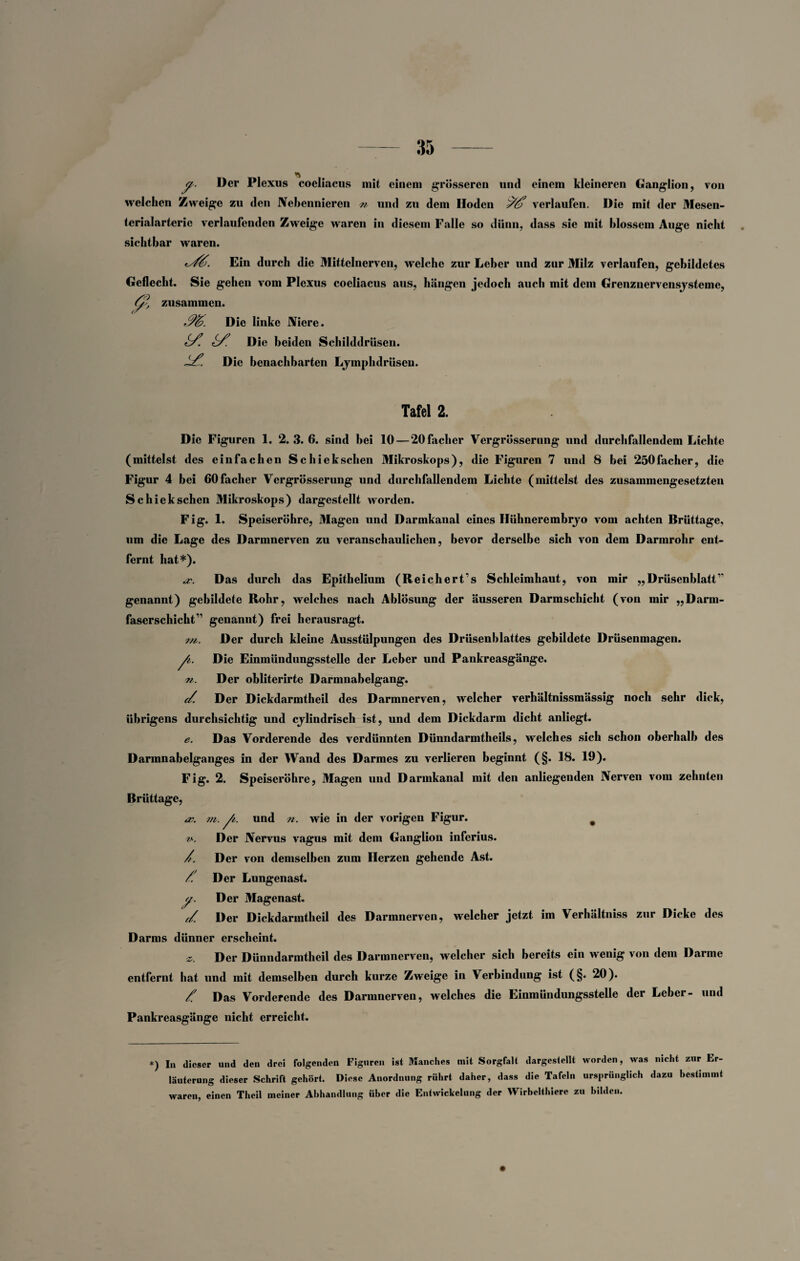 a. Der Plexus coeliacus mit einem grosseren und einem kleineren Ganglion, von welchen Zweige zu den Nebennieren n und zu dem Hoden ^ verlaufen. Die mit der Mesen¬ terialarterie verlaufenden Zweige waren in diesem Falle so dünn, dass sie mit blossem Auge nicht sichtbar waren. Ein durch die Mittelnerven, welche zur Leber und zur Milz verlaufen, gebildetes Geflecht. Sie gehen vom Plexus coeliacus aus, hängen jedoch auch mit dem Grenznervensysteme, (y, zusammen. Die linke Niere. e9f Die beiden Schilddrüsen. Die benachbarten Lyinphdrüsen. Tafel 2. Die Figuren 1. 2.3.6. sind bei 10 — 20facher Vergrösserung und durchfallendem Lichte (mittelst des einfachen Schiekschen Mikroskops), die Figuren 7 und 8 bei 250facher, die Figur 4 bei 60facher Vergrösserung und durchfallendem Lichte (mittelst des zusammengesetzten Schiekschen Mikroskops) dargestellt worden. Fig. 1. Speiseröhre, Magen und Darmkanal eines Hühnerembryo vom achten Brüttage, um die Lage des Darmnerven zu veranschaulichen, bevor derselbe sich von dem Darmrohr ent¬ fernt hat*). «z*. Das durch das Epithelium (Reichert’s Schleimhaut, von mir „ Drüsenblatt’’ genannt) gebildete Rohr, welches nach Ablösung der äusseren Darmschicht (von mir „Darm- faserschicht’ genannt) frei herausragt. i/i. Der durch kleine Ausstülpungen des Drüsenblattes gebildete Drüsenmagen. fi. Die Einmündungsstelle der Leber und Pankreasgänge. Ti. Der obliterirte Darmnabelgang. e/. Der Dickdarmtheil des Darmnerven, welcher verhältnissmässig noch sehr dick, übrigens durchsichtig und cylindrisch ist, und dem Dickdarm dicht anliegt. e. Das Vorderende des verdünnten Dünndarmtheils, welches sich schon oberhalb des Darmnabelganges in der Wand des Darmes zu verlieren beginnt (§. 18. 19). Fig. 2. Speiseröhre, Magen und Darmkanal mit den anliegenden Nerven vom zehnten Brüttage, m. A. und n. wie in der vorigen Figur. # v-. Der Nervus vagus mit dem Ganglion inferius. /. Der von demselben zum Herzen gehende Ast. /. Der Lungenast. y. Der Magenast. //. Der Dickdarmtheil des Darmnerven, welcher jetzt im Verhältniss zur Dicke des Darms dünner erscheint. s. Der Dünndarmtheil des Darmnerven, welcher sich bereits ein wenig von dem Darme entfernt hat und mit demselben durch kurze Zweige in Verbindung ist (§. 20). Das Vorderende des Darmnerven, welches die Einmündungsstelle der Leber- und Pankreasgänge nicht erreicht. *) In dieser und den drei folgenden Figuren ist Manches mit Sorgfalt dargestellt worden, was nicht zur Er¬ läuterung dieser Schrift gehört. Diese Anordnung rührt daher, dass die Tafeln ursprünglich dazu bestimmt waren, einen Theil meiner Abhandlung über die Entwickelung der Wirbelthiere zu bilden.