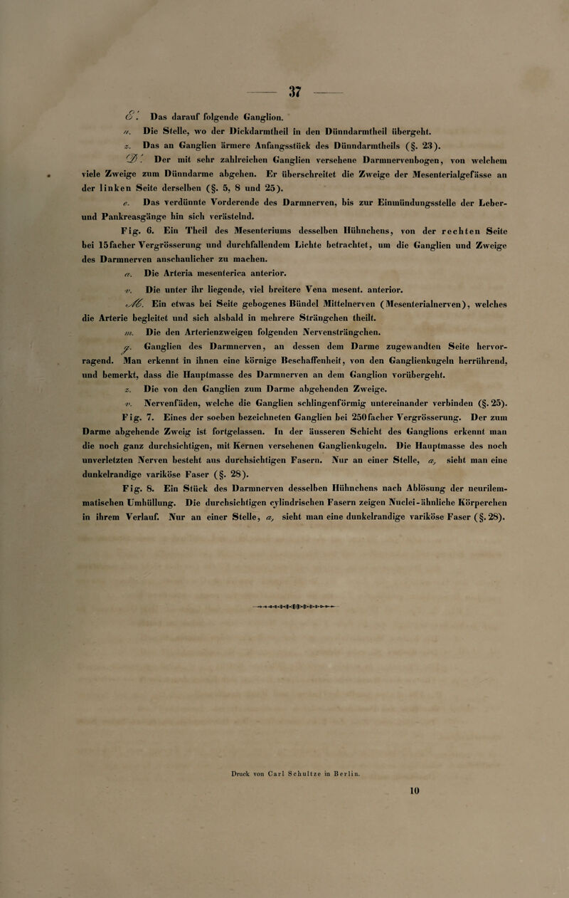O . Das darauf folgende Ganglion. //. Die Stelle, wo der Dickdarmtheil in den Dünndarmtheil übergeht. x. Das an Ganglien ärmere Anfangsstück des Dünndarmtheils (§. 23). (3. Der mit sehr zahlreichen Ganglien versehene Darmnervenbogen, von welchem viele Zweige zum Dünndarme abgehen. Er überschreitet die Zweige der Mesenterialgefässe an der linken Seite derselben (§. 5, 8 und 25). e. Das verdünnte Vorderende des Darmnerven, bis zur Einmündungsstelle der Leber¬ und Pankreasgänge hin sich verästelnd. Fig. 6. Ein Theil des Mesenteriums desselben Hühnchens, von der rechten Seite bei 15facher Vergrösserung und durchfallendem Lichte betrachtet, um die Ganglien und Zweige des Darmnerven anschaulicher zu machen. a. Die Arteria mesenterica anterior. ■v. Die unter ihr liegende, viel breitere Vena mesent. anterior. 's/6. Ein etwas bei Seite gebogenes Bündel Mittelnerven (Mesenterialnerven), welches die Arterie begleitet und sich alsbald in mehrere Strängchen theilt. m. Die den Arterienzweigen folgenden Nervensträngchen. y. Ganglien des Darmnerven, an dessen dem Darme zugewandten Seite hervor¬ ragend. Man erkennt in ihnen eine körnige Beschaffenheit, von den Ganglienkugeln herrührend, und bemerkt, dass die Hauptmasse des Darmnerven an dem G.anglion vorübergeht. x. Die von den Ganglien zum Darme abgehenden Zweige. v. Nervenfäden, welche die Ganglien schlingenförmig untereinander verbinden (§. 25). Fig. 7. Eines der soeben bezeichneten Ganglien bei 250facher Vergrösserung. Der zum Darme abgehende Zweig ist fortgelassen. In der äusseren Schicht des Ganglions erkennt man die noch ganz durchsichtigen, mit Kernen versehenen Ganglienkugeln. Die Hauptmasse des noch unverletzten Nerven besteht aus durchsichtigen Fasern. Nur an einer Stelle, a, sieht man eine dunkelrandige variköse Faser (§. 28). Fig. 8. Ein Stück des Darmnerven desselben Hühnchens nach Ablösung der neurilem- matischen Umhüllung. Die durchsichtigen cjlindrischen Fasern zeigen Nuclei-ähnliche Körperchen in ihrem Verlauf. Nur an einer Stelle, a, sieht man eine dunkelrandige variköse Faser (§. 28). Druck von Carl Schult ze in Berlin. 10