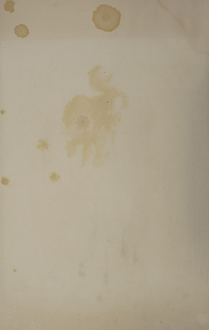 4 WEM i T — ' . . - ■