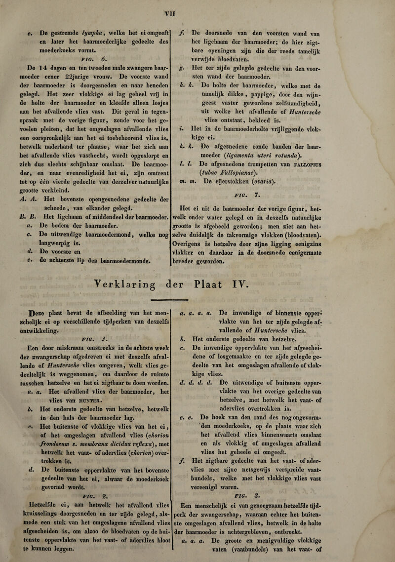 e. De gestremde lympha, welke het ei omgeeft en later het baarmoederlijke gedeelte des moederkoeks vormt. FIG. 6. De 14 dagen en ten tweeden male zwangere baar¬ moeder eener 22jarige vrouw. De voorste wand der baarmoeder is doorgesneden en naar beneden gelegd. Het zeer vlokkige ei lag geheel vrij in de holte der baarmoeder en kleefde alleen losjes aan het afvallende vlies vast. Dit geval in tegen¬ spraak met de vorige figuur, zoude voor het ge¬ voelen pleiten, dat het omgeslagen afvallende vlies een oorspronkelijk aan het ei toebehoorend vlies is, hetwelk naderhand ter plaatse, waar het zich aan het afvallende vlies vasthecht, wordt opgeslorpt en zich dus slechts schijnbaar omslaat. De baarmoe¬ der, en naar evenredigheid het ei, zijn omtrent tot op één vierde gedeelte van derzelver natuurlijke grootte verkleind. A. A. Het bovenste opengesnedene gedeelte der scheede, van elkander gelegd. B. B. Het ligchaam of middendeel der baarmoeder. a. De bodem der baarmoeder. c. De uitwendige baarmoedermond, welke nog langwerpig is. d. De voorste en e. de achterste lip des baarmoedermonds. Y erkläring f. De doorsnede van den voorsten wand van het ligchaam der baarmoeder; de hier zigt- bare openingen zijn die der reeds tamelijk verwijde bloedvaten. g. Het ter zijde gelegde gedeelte van den voor¬ sten wand der baarmoeder. h. I\. De holte der baarmoeder, welke met de tamelijk dikke , pappige, door den wijn¬ geest vaster gewordene zelfstandigheid, uit welke het afvallende of Huntersche vlies ontstaat, bekleed is. i. Het in de baarmoederholte vrijliggende vlok¬ kige ei. k. k. De afgesnedene ronde banden der baar¬ moeder (ligamenta uteri rotunda). /. I. De afgesnedene trompetten van faluopius {luhae Fallopianae). nu m. De eijerstokken {ovaria). FIG. 7. Het ei uit de baarmoeder der vorige figuur, het¬ welk onder water gelegd en in deszelfs natuurlijke grootte is afgebeeld geworden; men ziet aan het¬ zelve duidelijk de takvormige vlokken (bloedvaten). Overigens is hetzelve door zijne ligging eenigzins vlakker en daardoor in de doorsnede eenigermate breeder geworden. der Plaat IV. Deze plaat bevat de afbeelding van het men- schelijk ei op verschillende tijdperken van deszelfs ontwikkeling. FIG. J. Een door miskraam omstreeks in de achtste week der zwangerschap afgedreven ei met deszelfs afval¬ lende of Huntersche vlies omgeven, welk vlies ge¬ deeltelijk is weggenomen, om daardoor de ruimte tusschen hetzelve en het ei zigtbaar te doen worden. a. a. Het afvallend vlies der baarmoeder, het vlies van hunter. b. Het onderste gedeelte van hetzelve, hetwelk in den hals der baarmoeder lag. c. Het buitenste of vlokkige vlies van het ei, of het omgeslagen afvallend vlies {chorion frondosum s. memlrana dicidua refiecca), met hetwelk het vaat- of adervlies {chorion) over- trokken is. d. De buitenste oppervlakte van het bovenste gedeelte van het ei, alwaar de moederkoek gevormd wordt. fig. 2. Hetzelfde ei, aan hetwelk het afvallend vlies kruisselings doorgesneden en ter zijde gelegd, als¬ mede een stuk van het om geslagene afvallend vlies afgescheiden is, om alzoo de bloedvaten op de bui¬ tenste oppervlakte van het vaat- of adervlies bloot te kunnen leggen. a. a. a. a. De inwendige of binnenste opper¬ vlakte van het ter zijde gelegde af¬ vallende of Huntersche vlies. b. Het onderste gedeelte van hetzelve. c. De inwendige oppervlakte van het afgeschei¬ dene of losgemaakte en ter zijde gelegde ge¬ deelte van het omgeslagen afvallende of vlok¬ kige vlies. d. d. d. d. De uitwendige of buitenste opper¬ vlakte van het overige gedeelte van hetzelve, met hetwelk het vaat- of adervlies overtrokken is. e. e. De hoek van den rand des nogongevorm- den moederkoeks, op de plaats waar zich het afvallend vlies binnenwaarts omslaat en als vlokkig of omgeslagen afvallend vlies het geheele ei omgeeft. f. Het zigtbare gedeelte van het vaat- of ader¬ vlies met zijne netsgewijs verspreide vaat- bundels, welke met het vlokkige vlies vast vereenigd waren. FIG. 3. Een menschelijk ei van genoegzaam hetzelfde tijd¬ perk der zwangerschap, waaraan echter het buiten¬ ste omgeslagen afvallend vlies, hetwelk in de holte der baarmoeder is achtergebleven, ontbreekt. a. a. a. De groote en menigvuldige vlokkige ' vaten (vaatbundels) van het vaat- of