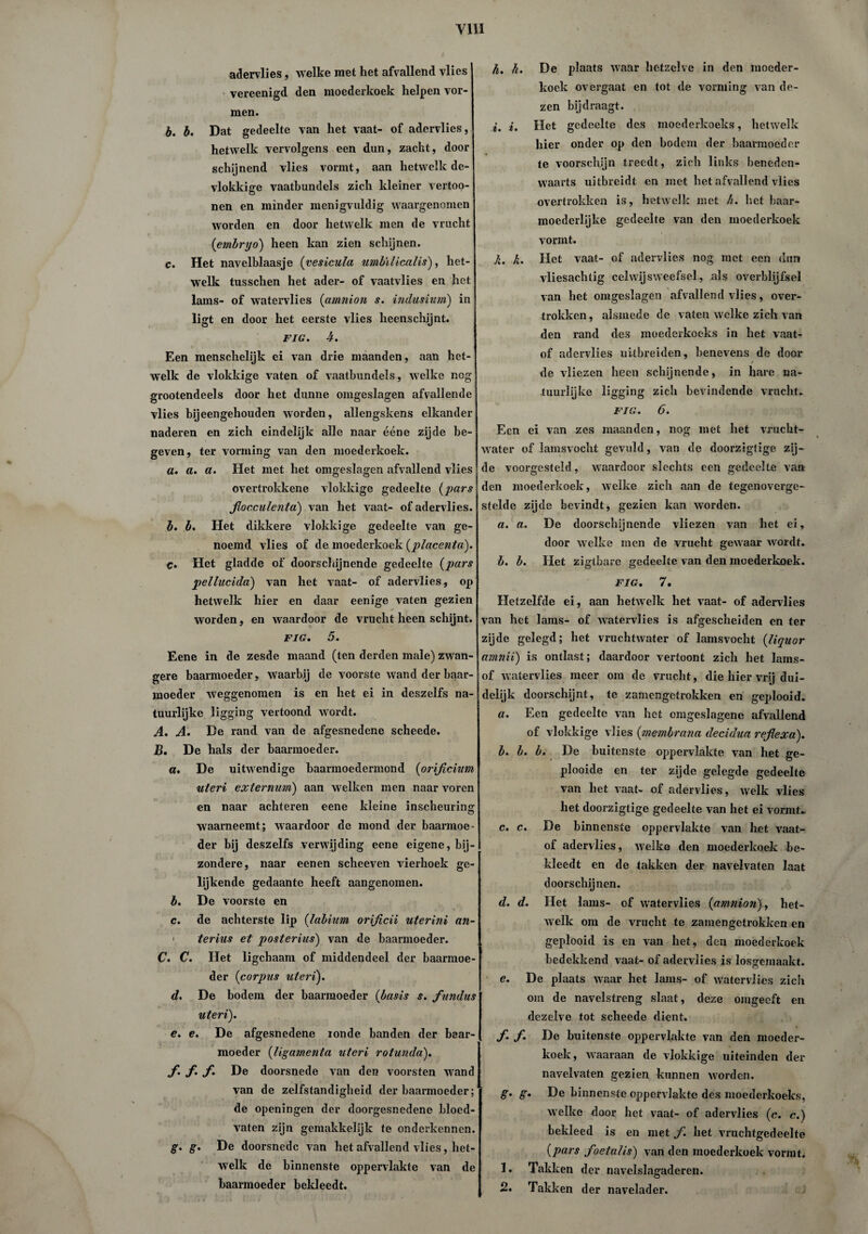 adervlies, welke met het afvallend vlies vereenigd den moederkoek helpen vor¬ men. b. b. Dat gedeelte van het vaat- of adervlies, hetwelk vervolgens een dun, zacht, door schijnend vlies vormt, aan hetwelk de- vlokkige vaatbundels zich kleiner vertoo- nen en minder menigvuldig waargenomen worden en door hetwelk men de vrucht (embryo) heen kan zien schijnen. c. Het navelblaasje (vesicula umbilicalis), het¬ welk tusschen het ader- of vaatvlies en het lams- of watervlies (amnion s. indusium) in ligt en door het eerste vlies heenschijnt. FIG. 4. Een menschelijk ei van drie maanden, aan het¬ welk de vlokkige vaten of vaatbundels, welke nog grootendeels door het dunne omgeslagen afvallende vlies bijeengehouden worden, allengskens elkander naderen en zich eindelijk alle naar ééne zijde be¬ geven, ter vorming van den moederkoek. a. a. a. Het met het omgeslagen afvallend vlies overtrokkene vlokkige gedeelte (pars flocculenta) van het vaat- of adervlies. b. b. Het dikkere vlokkige gedeelte van ge¬ noemd vlies of de moederkoek (placenta). C. Het gladde of doorschijnende gedeelte (pars pellucida) van het vaat- of adervlies, op hetwelk hier en daar eenige vaten gezien worden, en waardoor de vrucht heen schijnt. FIG. 5. Eene in de zesde maand (ten derden male) zwan¬ gere baarmoeder, waarbij de voorste wand der baar¬ moeder weggenomen is en het ei in deszelfs na¬ tuurlijke ligging vertoond wordt. A. A. Be rand van de afgesnedene scheede. B. De hals der baarmoeder. a. De uitwendige baarmoedermond (orificium uteri externum) aan welken men naar voren en naar achteren eene kleine inscheuring waarneemt; waardoor de mond der baarmoe¬ der bij deszelfs verwijding eene eigene, bij¬ zondere, naar eenen scheeven vierhoek ge¬ lijkende gedaante heeft aangenomen. b. De voorste en c. de achterste lip (labium orificii uterini an- terius et posterius) van de baarmoeder. C. C. Het ligchaam of middendeel der baarmoe¬ der (corpus uteri). d. De bodem der baarmoeder (basis s. fundus uteri). e. e. De afgesnedene ronde banden der baar¬ moeder (ligamenta uteri rotunda). f. f. f. De doorsnede van den voorsten wand van de zelfstandigheid der baarmoeder; de openingen der doorgesnedene bloed¬ vaten zijn gemakkelijk te onderkennen. g. g. De doorsnede van het afvallend vlies, het¬ welk de binnenste oppervlakte van de baarmoeder bekleedt. h. h. De plaats waar hetzelve in den moeder¬ koek overgaat en tot de vorming van de¬ zen bij draagt. i. i. Het gedeelte des moederkoeks, hetwelk hier onder op den bodem der baarmoeder te voorschijn treedt, zich links beneden¬ waarts uitbreidt en met het afvallend vlies overtrokken is, hetwelk met h. het baar¬ moederlijke gedeelte van den moederkoek vormt. h. h. Het vaat- of adervlies nog met een dun vliesachtig cclwijsweefsel, als overblijfsel van het omgeslagen afvallend vlies, over¬ trokken , alsmede de vaten w elke zich van den rand des moederkoeks in het vaat- of adervlies uitbreiden, benevens de door / de vliezen heen schijnende, in hare na¬ tuurlijke ligging zich bevindende vrucht* FIG. 6. Een ei van zes maanden, nog met het vrucht¬ water of lamsvocht gevuld, van de doorzigtige zij¬ de voorgesteld, waardoor slechts een gedeelte van den moederkoek, welke zich aan de tegenoverge¬ stelde zijde bevindt, gezien kan worden. a. a. De doorschijnende vliezen van het ei, door w elke men de vrucht gewaar wordt. b. b. Het zigtbare gedeelte v an den moederkoek. O O FIG. 7. Hetzelfde ei, aan hetwelk het vaat- of adervlies van het lams- of watervlies is afgescheiden en ter zijde gelegd; het vruchtwater of lamsvocht (liquor amnii) is ontlast; daardoor vertoont zich het lams- of watervlies meer om de vrucht, die hier vrij dui¬ delijk doorschijnt, te zamengetrokken en geplooid. a. Een gedeelte van het omgeslagene afvallend of vlokkige vlies (membrana decidua refiexa). b. b. b. De buitenste oppervlakte van het ge¬ plooide en ter zijde gelegde gedeelte van het vaat- of adervlies, welk vlies het doorzigtige gedeelte van het ei vormt. c. c. De binnenste oppervlakte van het vaat- of adervlies, welke den moederkoek be¬ kleedt en de takken der navelvaten laat doorschijnen. d. d. Het lams- of watervlies (amnion)., het¬ welk om de vrucht te zamengetrokken en geplooid is en van het, den moederkoek bedekkend vaat- of adervlies is losgemaakt. e. De plaats waar het lams- of watervlies zich om de navelstreng slaat, deze omgeeft en dezelve tot scheede dient. f. f. De buitenste oppervlakte van den moeder¬ koek, waaraan de vlokkige uiteinden der navelvaten gezien kunnen worden. g. g. De binnenste oppervlakte des moederkoeks, welke door het vaat- of adervlies (c. c.) bekleed is en met f. het vruchtgedeelte (pars foetalis) van den moederkoek vormt. 1. Takken der navelslagaderen. 2. Takken der navelader.