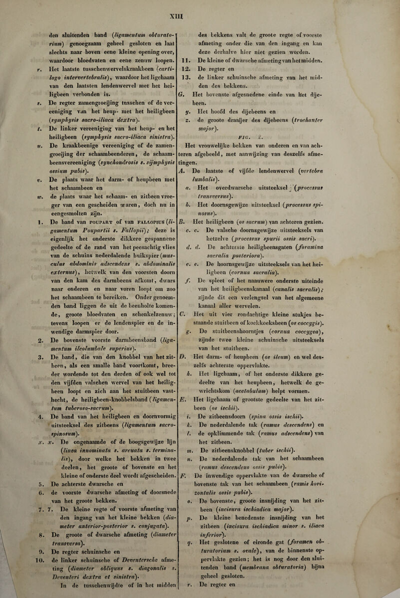 r. s. t. v. V. w. 1. 2. 3. 4. x. 5. 6. 7. 8. 9 10. den sluitenden band (ligamentum obturato- rinm) genoegzaam geheel gesloten en laat slechts naar hoven eene kleine opening over, waardoor bloedvaten en eene zenuw loopen. Het laatste tiisschenwervelskraakbeen (carti- logo intervertebralis), waardoor het ligchaam van den laatsten lendenwervel met het hei¬ ligbeen verbonden is. De regter zamengioeijing tnsschen of de ver- eeniging van het heup- met het heiligbeen (sympliysis sacro-iliaca dextra). De linker vereenigiug van het heup- en het heiligbeen (sympliysis sacro-iliaca sinistra). De kraakbeenige vereeniging of de zamen- groeijing der schaambeenderen, de schaam- beensvereeniging (synchondrosis s. sijmphysis ossium pubis). De plaats waar het darm- of heupbeen met het schaambeen en de plaats waar het schaam- en zitbeen vroe¬ ger van een gescheiden w. aren, doch nu in eengesmolten zijn. De band van poupart of van faixopius (li¬ gamentum Foupartii s. Fallopii); deze is eigenlijk het onderste dikkere gespannene gedeelte of de rand van het peesachtig vlies van de schuins nederdalende buikspier (mus- culus abdominis adscendens s. abdominalis exiernus), hetwelk van den voorsten doorn van den kam des darmbeens afkomt, dwars naar onderen en naar voren loopt om zoo het schaambeen te bereiken. Onder genoem¬ den band liggen de uit de beenholte komen¬ de, groote bloedvaten en schenkelzenuw; tevens loopen er de lendenspier en de in¬ wendige darmspier door. De bovenste voorste darmbeensband (liga¬ mentum ileolumbale superius). De band, die van den knobbel van het zit¬ been, als een smalle band voortkomt, bree- der wordende tot den derden of ook wel tot den vijfden valschen wervel van het heilig¬ been loopt en zich aan het stuitbeen vast¬ hecht, de heiligbeen-knobbelsband (ligamen¬ tum tuberos o-sacrum). De band van het heiligbeen en doornvormig uitsteeksel des zitbeens (ligamentum sacro- spinosum). x. De ongenaamde of de boogsgewijze lijn (linea innominata s. arcuata s. termina- lis), door welke het bekken in twee deelen, het groote of bovenste en het kleine of onderste deel w ordt afgescheiden. De achterste dwarsche en de voorste dwarsche afmeting of doorsnede van het groote bekken. 7. De kleine regte of voorste afmeting van den ingang van het kleine bekken (dia¬ meter anterior-posterior s. conjugata). De groote of dwarsche afmeting (diameter transversa). De regter schuinsche en de linker schuinsche of Deventersche afme¬ ting (diameter obliquus s. diagonalis s. Deventeri dextra et sinistra). In de tusschenwijdte of in het midden des bekkens valt de groote regte of voorste afmeting onder die van den ingang en kan deze derhalve hier niet gezien worden. 11. De kleine of dwarsche afmeting van het midden. 12. De regter en 13. de linker schuinsche afmeting van het mid¬ den des bekkens. Gr. Het bovenste afgesnedene einde van het dije- been. y. Het hoofd des dijebeens en z. de groote draaijer des dijebeens (trochunler n\ajor). F1G. 2. Het vrouwelijke bekken van onderen en van ach¬ teren afgebeeld, met aanwijzing van deszelfs afme¬ tingen. A. De laatste of vijfde lendenwervel (vertebra lumbalis). a. Het overdwarsche uitsteeksel (processus transversus). b. Het doornsgewijze uitsteeksel (processus spi- nosns). B. Het heiligbeen (os sacrum) yan achteren gezien. c. c. De valsche doornsgewijze uitsteeksels van hetzelve (processus spurii ossis sacri). d. d. De achterste heiligbeensgaten (foramina sacralia posieriora). e. e. De hoornsgewijze uitsteeksels van het hei¬ ligbeen (cornua sacralia). f. De spleet of het naauwere onderste uiteinde van het heiiigbeenskanaal (canalis sacralis); zijnde dit een verlengsel van het algemeene kanaal aller wervelen. C. Het uit vier rondachtige kleine stukjes be¬ staande stuitbeen of koekkoeksbeen (os coccygis). g. De stuitbeenshoorntjes (cornua coccygea), zijnde twee kleine schuinsche uitsteeksels van het stuitbeen. I). Het darm- of heupbeen (os ileum) en wel des¬ zelfs achterste oppervlakte. h. Het ligchaam, of het onderste dikkere ge¬ deelte van het heupbeen, hetwelk de ge- wrichtskom (acetabulum) helpt vormen. E. Het ligchaam of grootste gedeelte van het zit¬ been (os ischii). i. De zitbeensdoorn (spina ossis ischii). h. De nederdalende tak (ramus descendens) en l. de opklimmende tak (ramus adscendens) van het zitbeen. m. De zitbeensknobbel (luber ischii). n. De nederdalende tak van het schaambeen (ramus descendens ossis pubis). F. De inwendige oppervlakte van de dwarsche of bovenste tak van het schaambeen (ramis hori- \ - zontalis ossis pubis). o. De bovenste, groote insnijding van het zit¬ been (incisura ischiadica major). p. De kleine benedenste insnijding van het zitbeen (incisura ischiadica minor s. iliaca inferior). q. Het geslotene of eironde gat (foramen ob- turatorium s. ovale), van de binnenste op¬ pervlakte gezien; het is nog door den slui¬ tenden band (membrana obturatoria) bijna geheel gesloten. r. De regter en f