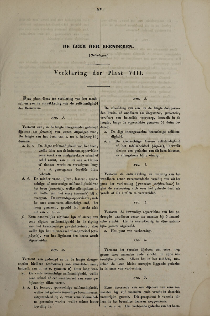 DE LEED DER BEENDEREN. (iOsteologia.) Verkl aring der Plaat VIII. Deze plaat dient ter verklaring van het maak¬ sel en van de ontwikkeling van de zelfstandigheid der Beenderen. FIG. J. Vertoont een, in de lengte doorgesneden gedroogd dijebeen (os femoris) van eenen 30jarigen man, De lengte van het been van c. tot c. bedroeg 16^ duimen. a. b. c. De digte zelfstandigheid van het been, welke hier aan de buitenste oppervlakte eene soort van onafgebrokene schaal of schil vormt, van a. tot aan b. kleiner of dunner wordt en vervolgens langs b. c. b. genoegzaam dezelfde dikte behoudt. d. d. De minder vaste, ijlere, lossere, spons¬ achtige of netvormige zelfstandigheid van het been (icancelli), welke allengskens in de holte van het merg (medulla) bij e. overgaat. De inwendige oppervlakte, wel¬ ke met eene vette olieachtige stof, het merg genaamd, gevuld is , strekt zich uit van e. tot e. f. Eene naauwelijks zigtbare lijn of streep van eene digtere zelfstandigheid in de rigting van het kraakbeenige gewrichtseinde; door welke lijn het uitsteeksel of aangroeisel (epi- physis), van het ligchaam des beens wordt afgescheiden. FIG. 2, Vertoont een gedroogd en in de lengte doorge¬ sneden hielbeen (<calcajieus) van denzelfden man, hetwelk van a. tot a. gemeten duim lang was. a. De vaste beenachtige zelfstandigheid, welke eene schaal of een omkleedsel van eene ge¬ lijkmatige dikte vormt. b. c. De lossere, sponsachtige zelfstandigheid, welke het geheele inwendige been inneemt, uitgezonderd bij c, Avaar eene kleine hol¬ te gevonden wordt; welke echter louter toevallig is. FIG. 3. De afbeelding van een, in de lengte doorgesne¬ den kruin- of wandbeen (os bregmatis, parietale, verticis) van hetzelfde voorwerp, hetwelk in de lengte, langs de oppervlakte gemeten 5^ duim be¬ droeg. a. De digt ineengewerkte beenachtige zelfstan¬ digheid. b. c. De sponsachtige lossere zelfstandigheid of het tafelscheidsel (diploe), hetAvelk slechts een gedeelte van dit been inneemt, en allengskens bij c. eindigt. FIG. b. Vertoont de ontwikkeling en vorming van het Avandbeen eener tweemaandsche vrucht; van uit het punt der verbeening (punctum ossificationis) be¬ gint de verbeening zich over het geheele deel als vezels of als stralen te verspreiden. FIG. 5. Vertoont de inwendige oppervlakte van het ge¬ droogde Avandbeen eener ten naasten bij 5 maand- sche vrucht. Het is naauwkeurig in zijne natuur¬ lijke grootte afgebeeld. a. Het punt van verbeening. FIG. 6. Vertoont het versehe dijebeen Yan eene, nog geene twee maanden oude vrucht, in zijne na¬ tuurlijke grootte. Alleen het in het midden, tus- schen de twee kleine streepjes liggende gedeelte is in staat van verbeening. FIG. 7. Eene doorsnede van een dijebeen van eene ten naasten bij vijf maanden oude vrucht in deszelfs natuurlijke grootte. Dit praeparaat is versch; al¬ leen is het beenvlies daarvan weggenomen. a. b. c. d. Het verbeende gedeelte van het been.