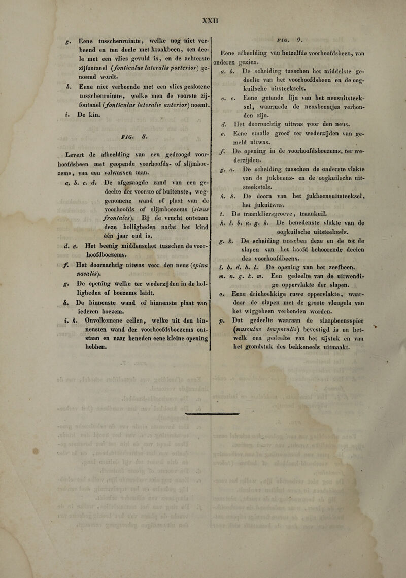 g. Eene tusschenruimte, welke nog niet ver- beend en ten deele met kraakbeen, ten dee- le met een vlies gevuld is, en de achterste zijfontanel (fonticulus lateralis posterior) ge¬ noemd wordt. h. Eene niet verbeende met een vlies geslotene tusschenruimte, welke men de voorste zij¬ fontanel {fonticulus lateralis anterior) noemt. i. De kin. FIG. 8. Levert de afbeelding van een gedroogd voor¬ hoofdsbeen met geopende yoorhoofds- of slijmboe- zems, yan een volwassen man. a. b, c. d. Dc afgezaagde rand van een ge¬ deelte der voorste of buitenste, weg- genomene wand of plaat van de yoorhoofds of slijmboezems (sinus frontales). Bij de vrucht ontstaan deze holligheden nadat het kind één jaar oud is. d. e. Het beenig middenschot tusschen de voor- hoofdboezems. f. Het doornachtig uitwas voor den neus (spina nas a lis). g. De opening welke ter wederzijden in de hol¬ ligheden of boezems leidt. li* De binnenste wand of binnenste plaat van iederen boezem. *. k. Onvolkomene cellen, welke uit den bin¬ nensten wand der voorhoofdsboezems ont¬ staan en naar beneden eene kleine opening hebben. FIG. 9. Eene afbeelding van hetzelfde voorhoofdsbeen, van onderen gezien. a. b. De scheiding tusschen het middelste ge¬ deelte van het voorhoofdsbeen en de oos> o kuilsche uitsteeksels. c. c. Eene getande lijn van het neusuitsteek- sel, waarmede de neusbeentjes verbon¬ den zijn. d. Het doornachtig uitwas yoor den neus. e. Eene smalle groef ter wederzijden van ge¬ meld uitwas. f. De opening in de voorhoofdsboezems, ter we¬ derzijden. g. a. De scheiding tusschen de onderste vlakte van de jukbeens- en de oogkuilsche uit- steekstels. h. h. De doom van het jukbeensuitsteeksel, hei jukuitwas. i. De traankliersgroeve, traankuil. k. I. b. a. g. k. De benedenste vlakte van de oogkuilsche uitsteeksels. g. k. De scheiding tusschen deze en de tot de slapen van het hoofd behoorende deelen des voorhoofdbeens. l. b. d. b. I. De opening van het zeefbeen. ni. n. g. k. m. Een gedeelte van de uitwendi¬ ge oppervlakte der slapen. o. Eene driehoekkige ruwe oppervlakte, waar¬ door de slapen met de groote vleugels van het wiggebeen verbonden worden. p. Dat gedeelte waaraan de slaapbeensspier (musculus temporalis) bevestigd is en het¬ welk een gedeelte van het zijstuk en van het grondstuk des bekkeneeïs uitmaakt.