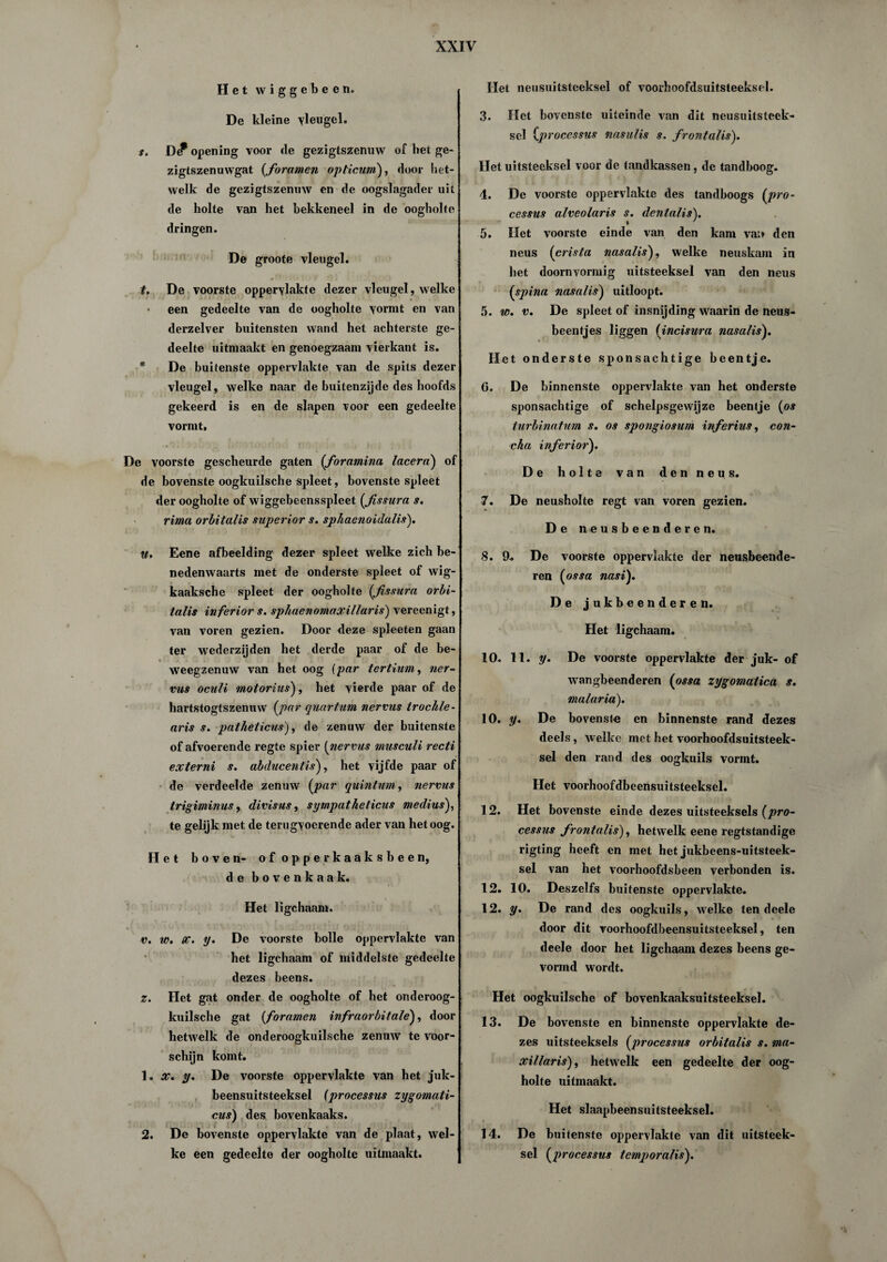 Het wiggebeen. De kleine vleugel. r. D(f opening voor de gezigtszenuw of het ge- j zigtszenuwgat (foramen opticum), door het¬ welk de gezigtszenuw en de oogslagader uit de holte van het bekkeneel in de oogholte dringen. De groote vleugel. t. De voorste oppervlakte dezer vleugel, welke * een gedeelte van de oogholte vormt en van derzelver buitensten wand het achterste ge¬ deelte uitmaakt en genoegzaam vierkant is. De buitenste oppervlakte van de spits dezer vleugel, welke naar de buitenzijde des hoofds gekeerd is en de slapen voor een gedeelte vormt, De voorste gescheurde gaten (foramina lacera) of de bovenste oogkuilsche spleet, bovenste spleet der oogholte of wiggebeensspleet (,fissura s. rima orbitalis superior s. sphaenoidalis). W. Eene afbeelding dezer spleet welke zich be¬ nedenwaarts met de onderste spleet of wig- kaaksche spleet der oogholte (fissura orbi¬ talis inferior s. sphaenomaxillaris) vereenigt, van voren gezien. Door deze spleeten gaan ter wederzijden het derde paar of de be- weegzenuw van het oog (par tertium, ner- vus oculi motorius), het vierde paar of de hartstogtszeniivv (joar quartum nervus trockle- aris s. patheticus), de zenuw der buitenste of afvoerende regte spier (nervus musculi recti externi s. abducentis), het vijfde paar of de verdeelde zenuw (joar quintum, nervus trigiminus, divisus, sympatheticus medius), te gelijk met de terugvoerende ader van het oog. Het boven- ofopperkaaksbeen, de bovenkaak. Het ligchaam. v. w. X. y. De voorste bolle oppervlakte van het ligchaam of middelste gedeelte dezes beens. z. Het gat onder de oogholte of het onderoog- kuiïsche gat {fommen infraorbitale), door hetwelk de onderoogkuilsche zenuw te voor¬ schijn komt. 1. x, y. De voorste oppervlakte van het juk- beensuitsteeksel (processus zygomati- cus) des bovenkaaks. 2. De bovenste oppervlakte van de plaat, wel¬ ke een gedeelte der oogholte uïlinaakt. Het neusuitsteeksel of voorhoofdsuitsteeksel. 3. Het bovenste uiteinde van dit neusuitsteck- sel (processus nasulis s. frontalis). Het uitsteeksel voor de tandkassen, de tandboog. 4. De voorste oppervlakte des tandboogs (pro¬ cessus alveolaris s. dentalis). 5. Het voorste einde van den kam vai» den neus (crista nasalis), welke neuskam in het doornvormig uitsteeksel van den neus (spina nasalis) uitloopt. 5. w. v. De spleet of insnijding waarin de neus- beentjes liggen (incisura nasalis). Het onderste sponsachtige beentje. 0. De binnenste oppervlakte van het onderste sponsachtige of schelpsgewijze beentje (os turbinatnm s. os spongiosum in ferms, con- cha inferior). De holte van den neus. 7. De neusholte regt van voren gezien. De neusbeenderen. 8. 9. De voorste oppervlakte der neusbeende¬ ren (ossa nasi). De jukbeenderen. Het ligchaam. 10. 11. y. De voorste oppervlakte der juk- of wangbeenderen (ossa zygomatica s. malaria). 10. y. De bovenste en binnenste rand dezes deels, welke met het voorhoofdsuitsteek¬ sel den rand des oogkuils vormt. Het voorhoofdbeensuitsteeksel. 12. Het bovenste einde dezes uitsteeksels (pro¬ cessus fronlalis), hetwelk eene regtstandige rigting heeft en met het jukbeens-uitsteek- sel van het voorhoofdsbeen verbonden is. 12. 10. Deszelfs buitenste oppervlakte. 12. y. De rand des oogkuils, welke ten deele door dit voorhoofdbeensuitsteeksel, ten deele door het ligchaam dezes beens ge¬ vormd wordt. Het oogkuilsche of bovenkaaksuitsteeksel. 13. De bovenste en binnenste oppervlakte de¬ zes uitsteeksels (processus orbitalis s. ma- xillaris), hetwelk een gedeelte der oog¬ holte uitmaakt. Het slaapbeensuitsteeksel. 14. De buitenste oppervlakte van dit uitsteek¬ sel (processus temporalis).