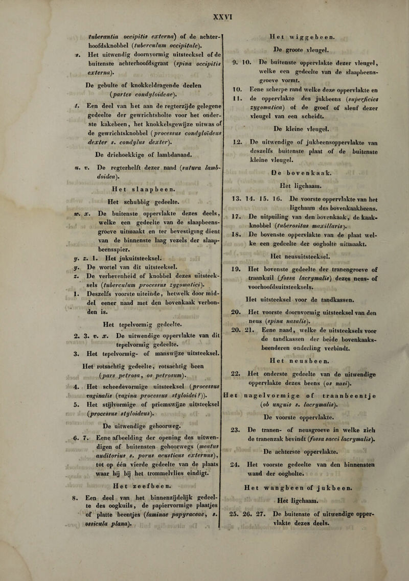 tnberantia occipitis externa) of de achter-1 hoofdsknobbel (tnberculum occipitale). s. Het uitwendig doornyormig uitsteeksel of de buitenste acbterhoofdsgraat (spina occipitis externa). De gebulte of knokkeldragende deelen (partes condyloideae). t. Een deel van het aan de regterzijde gelegene gedeelte der gewrichtsholte voor het onder¬ ste kakebeen, het knokkelsgewijze uitwas o de gewrichtsknobbel (processus condyloideus dexter s. condylus dexter). De driehoekkige of lambdanaad. n. v. De regterhelft dezer naad (sulura lamb- doidea). Het slaapbeen. Het schubbig gedeelte. w. x. De buitenste oppervlakte dezes deels, welke een gedeelte van de slaapbeens- groeve uitinaakt en ter bevestiging dient van de binnenste laag vezels der slaap- beensspier. y. z. 1. Het jukuitsteeksel. y. De wortel van dit uitsteeksel. z. De verhevenheid of knobbel dezes uitsteek¬ sels (tnberculum processus zygomatici). 1. Deszelfs voorste uiteinde, hetwelk door mid¬ del eener naad met den bovenkaak verbon¬ den is. Het tepelvormig gedeelte. 2. 3. v. x. De uitwendige oppervlakte van dit tepelvormig gedeelte. 3. Het tepelvormig- of manswijze uitsteeksel. Het rotsachtig gedeelte, rotsachtig been (pars petrosa, os petrosum). 4. Het scheedevormige uitsteeksel (processus vaginalis (vagina processus styloidei?)). 5. Het stijlvormige of priemswijze uitsteeksel {processus styloideus). De uitwendige gehoorweg. 0. 7. Eene afbeelding der opening des uitwen- digen of buitensten gehoorwegs (meatus auditorius s. porus acnsticus externus), tot op één vierde gedeelte van de plaats waar hij bij het trommelvlies eindigt. Het zeefbeen. 8. Een deel van het binnenzijdelijk gedeel¬ te des oogkuils, de papiervormige plaatjes r of platte beentjes (taminae papyraceue, s. ossicula plana). Het wiggebeen. De groote vleugel. 9. 10. De buitenste oppervlakte dezer vleugel, welke een gedeelte van de slaapbeens- groeve vormt. 10. Eene scherpe rand welke deze oppervlakte en 11. de oppervlakte des jukbeens {superficies zygomalica) of de groef of sleuf dezer vleugel van een scheidt. De kleine vleugel. 12. De uitwendige of jukbeensoppervlakte van deszelfs buitenste plaat of de buitenste kleine vleugel. De bovenkaak. Het ligchaam. 13. 14. 15. 16. De voorste oppervlakte van het ligchaam des bovenkaakbeens. 17. De uitpuiling van den bovenkaak, de kaak- knobbel (tuberositas maxillarisy 18. De bovenste oppervlakte van de plaat wel¬ ke een gedeelte der oogholte uitmaakt. Het neusuitsteeksel. 19. Het bovenste gedeelte der tranengroeve of traankuil {fossa lacrymalis) dezes neus- of voorhoofdsuitsteeksels. Het uitsteeksel voor de tandkassen. 20. Het voorste doornvormig uitsteeksel van den neus {spina nasalis). 20. 21. Eene naad, welke de uitsteeksels voor de tandkassen der beide bovenkaaks¬ beenderen onderling verbindt. Het neusbeen. 22. Het onderste gedeelte van de uitwendige oppervlakte dezes beens {os nasi). Het nagelvormige of traanbeentje {ob unguis s. lacrymalis). De voorste oppervlakte. 23. De tranen- of neusgroeve in welke zich de tranenzak bevindt {fossa sacci lacrymalis). De achterste oppervlakte. 24. Het voorste gedeelte van den binnensten wand der oogholte. Het wangbeen of jukbeen. Het ligchaam. 25. 26. 27. De buitenste of uitwendige opper¬ vlakte dezes deels.