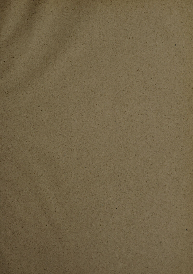 - t' > 4 » f . ui. /