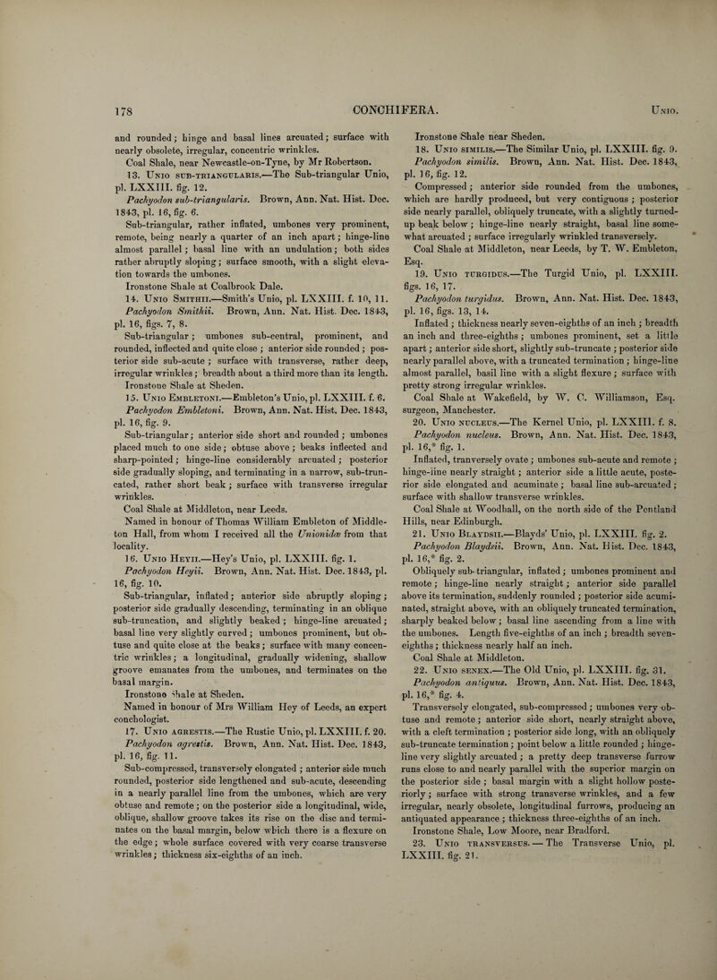 and rounded; hinge and basal lines arcuated; surface with nearly obsolete, irregular, concentric wrinkles. Coal Shale, near Newcastle-on-Tyne, by Mr Robertson. 13. Unio sub-triangularis.—The Sub-triangular Unio, pi. LXXIII. fig. 12. Pachyodon sub-triangularis. Brown, Ann. Nat. Hist. Dec. 1843, pi. 16, fig. 6. Sub-triangular, rather inflated, urabones very prominent, remote, being nearly a quarter of an inch apart; hinge-line almost parallel; basal line with an undulation; both sides rather abruptly sloping; surface smooth, with a slight eleva¬ tion towards the umbones. Ironstone Shale at Coalbrook Dale. 14. Unio Smithii.—Smith’s Unio, pi. LXXIII. f. 10, 11. Pachyodon Smithii. Brown, Ann. Nat. Hist. Dec. 1843, pi. 16, figs. 7, 8. Sub-triangular; umbones sub-central, prominent, and rounded, inflected and quite close ; anterior side rounded ; pos¬ terior side sub-acute ; surface with transverse, rather deep, irregular wrinkles ; breadth about a third more than its length. Ironstone Shale at Sheden. 15. Unio Embletoni.—Embleton’s Unio, pi. LXXIII. f. 6. Pachyodon Embletoni. Brown, Ann. Nat. Hist. Dec. 1843, pi. 16, fig. 9. Sub-triangular; anterior side short and rounded ; umbones placed much to one side; obtuse above; beaks inflected and sharp-pointed; hinge-line considerably arcuated; posterior side gradually sloping, and terminating in a narrow, sub-trun¬ cated, rather short beak; surface with transverse irregular wrinkles. Coal Shale at Middleton, near Leeds. Named in honour of Thomas William Embleton of Middle- ton Hall, from whom I received all the Unionidce from that locality. 16. Unio Heyii.—Hey’s Unio, pi. LXXIII. fig. 1. Pachyodon Heyii. Brown, Ann. Nat. Hist. Dec. 1843, pi. 16, fig. 10. Sub-triangular, inflated; anterior side abruptly sloping; posterior side gradually descending, terminating in an oblique sub-truncation, and slightly beaked; liinge-line arcuated; basal line very slightly curved ; umbones prominent, but ob¬ tuse and quite close at the beaks; surface with many concen¬ tric wrinkles; a longitudinal, gradually widening, shallow groove emanates from the umbones, and terminates on the basal margin. Ironstone Shale at Sheden. Named in honour of Mrs William Hey of Leeds, an expert concliologist. 17. Unio agrestis.—The Rustic Unio, pi. LXXIII. f. 20. Pachyodon agrestis. Brown, Ann. Nat. Hist. Dec. 1843, pi. 16, fig. 11. Sub-compressed, transversely elongated ; anterior side much rounded, posterior side lengthened and sub-acute, descending in a nearly parallel line from the umbones, which are very obtuse and remote; on the posterior side a longitudinal, wide, oblique, shallow groove takes its rise on the disc and termi¬ nates on the basal margin, below which there is a flexure on the edge; whole surface covered with very coarse transverse wrinkles; thickness six-eighths of an inch. Ironstone Shale near Sheden. 18. Unio similis.—The Similar Unio, pi. LXXIII. fig. 9. Pachyodon similis. Brown, Ann. Nat. Hist. Dec. 1843, pi. 16, fig. 12. Compressed; anterior side rounded from the umbones, which are hardly produced, but very contiguous ; posterior side nearly parallel, obliquely truncate, with a slightly turned- up beak below; hinge-line nearly straight, basal line some¬ what arcuated ; surface irregularly wrinkled transversely. Coal Shale at Middleton, near Leeds, by T. W. Embleton, Esq. 19. Unio turgidus.—The Turgid Unio, pi. LXXIII. figs. 16, 17. Pachyodon turgidus. Brown, Ann. Nat. Hist. Dec. 1843, pi. 16, figs. 13, 14. Inflated ; thickness nearly seven-eighths of an inch ; breadth an inch and three-eighths; umbones prominent, set a little apart; anterior side short, slightly sub-truncate ; posterior side nearly parallel above, with a truncated termination ; hinge-line almost parallel, basil line with a slight flexure; surface with pretty strong irregular wrinkles. Coal Shale at Wakefield, by W. C. Williamson, Esq. surgeon, Manchester. 20. Unio nucleus.—The Kernel Unio, pi. LXXIII. f. 8. Pachyodon nucleus. Brown, Ann. Nat. Hist. Dec. 1843, pi. 16,* fig. 1. Inflated, tranversely ovate ; umbones sub-acute and remote ; hinge-iine nearly straight; anterior side a little acute, poste¬ rior side elongated and acuminate ; basal line sub-arcuated ; surface with shallow transverse wrinkles. Coal Shale at Woodhall, on the north side of the Pentland Hills, near Edinburgh. 21. Unio Blaydsii.—Blayds’ Unio, pi. LXXIII. fig. 2. Pachyodon Blaydsii. Brown, Ann. Nat. Hist. Dec. 1843, pi. 16,* fig. 2. Obliquely sub-triangular, inflated; umbones prominent and remote; hinge-line nearly straight; anterior side parallel above its termination, suddenly rounded ; posterior side acumi¬ nated, straight above, with an obliquely truncated termination, sharply beaked below; basal line ascending from a line with the umbones. Length five-eighths of an inch ; breadth seven- eighths ; thickness nearly half an inch. Coal Shale at Middleton. 22. Unio senex.—The Old Unio, pi. LXXIII. fig. 31. Pachyodon antiquus. Brown, Ann. Nat. Hist. Dec. 1843, pi. 16,* fig. 4. Transversely elongated, sub-compressed ; umbones very ob¬ tuse and remote; anterior side short, nearly straight above, with a cleft termination ; posterior side long, with an obliquely sub-truncate termination; point below a little rounded ; hinge¬ line very slightly arcuated; a pretty deep transverse furrow runs close to and nearly parallel with the superior margin on the posterior side ; basal margin with a slight hollow poste¬ riorly ; surface with strong transverse wrinkles, and a few irregular, nearly obsolete, longitudinal furrows, producing an antiquated appearance ; thickness three-eighths of an inch. Ironstone Shale, Low Moore, near Bradford. 23. Unio transversus. — The Transverse Unio, pi. LXXIII. fig. 21.