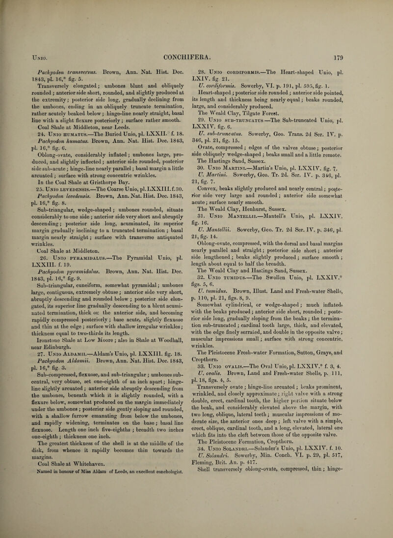 Pachyodon transversus. Brown, Ann. Nat. Hist. Dec. 1843, pi. 16,* fig. 5. Transversely elongated; umbones blunt and obliquely rounded ; anterior side short, rounded, and slightly produced at the extremity; posterior side long, gradually declining from the umbones, ending in an obliquely truncate termination, rather acutely beaked below; hinge-line nearly straight, basal liue with a slight flexure posteriorly ; surface rather smooth. Coal Shale at Middleton, near Leeds. 24. Unio humatus.—The Buried Unio, pi. LXXII. f. 18. Pachyodon humatus. Brown, Ann. Nat. Hist. Dec. 1843, pi. 16,* fig. 6. Oblong-ovate, considerably inflated; umbones large, pro¬ duced, and slightly inflected; anterior side rounded, posterior side sub-acute ; hinge-line nearly parallel; basal margin a little arcuated ; surface with strong concentric wrinkles. In the Coal Shale at Gristhorpe Bay. 25. Unio levedensis.—The Coarse Unio, pl.LXXIII.f.30. Pachyodon levedensis. Brown, Ann. Nat. Hist. Dec. 1843, pi. 16,* fig. 8. Sub-triangular, wedge-shaped; umbones rounded, situate considerably to one side ; anterior side very short and abruptly descending; posterior side long, acuminated, its superior margin gradually inclining to a truncated termination ; basal margin nearly straight; surface with transverse antiquated wrinkles. Coal Shale at Middleton. 26. Unio pyramidalus.—The Pyramidal Unio, pi. LXXIII. f. 19. Pachyodon jtyramidalus. Brown, Ann. Nat. Hist. Dec. 1843, pi. 16,* fig. 9. Sub-triangular, cuneiform, somewhat pyramidal; umbones large, contiguous, extremely obtuse; anterior side very short, abruptly descending and rounded below ; posterior side elon¬ gated, its superior line gradually descending to a blent acumi¬ nated termination, thick on the anterior side, and becoming rapidly compressed posteriorly ; base acute, slightly fiexuose and thin at the edge ; surface with shallow irregular wrinkles; thickness equal to two-thirds its length. Ironstone Shale at Low Moore; also in Shale at Woodhall, near Edinburgh. 27- Unio Aluamii.—Aldam’sUnio, pi. LXXIII. fig. 18. Pachyodon Aldamii. Brown, Ann. Nat. Hist. Dec. 1843, pi. 1 6,* fig. 3. Sub-compressed, fiexuose, and sub-triangular ; umbones sub¬ central, very obtuse, set one-eighth of an inch apart; hinge¬ line slightly arcuated ; anterior side abruptly descending from the umbones, beneath which it is slightly rounded, with a flexure below, somewhat produced on the margin immediately under the umbones ; posterior side gently sloping and rounded, with a shallow furrow emanating from below the umbones, and rapidly widening, terminates on the base; basal line fiexuose. Length one inch five-eighths ; breadth two inches one-eighth ; thickness one inch. The greatest thickness of the shell is at the middle of the disk, from whence it rapidly becomes thin towards the margins. Coal Shale at 'Whitehaven. I Named in honour of Miss Aldam of Leeds, an excellent conchologist. 28. Unio cordiformis.—The Heart-shaped Unio, pi. LXIV. fig 21. U. cordiformis. Sowerby, VI. p. 191, pi. 595, fig. 1. Heart-shaped ; posterior side rounded ; anterior side pointed, its length and thickness being nearly equal; beaks rounded, large, and considerably produced. The Weald Clay, Tilgate Forest. 29. Unio sub-truncatus—The Sub-truncated Unio, pi. LXXIV. fig. 6. U. sub-truncatus. Sowerby, Geo. Trans. 2d Ser. IV. p. 346, pi. 21, fig. 15. Ovate, compressed; edges of the valves obtuse; posterior side obliquely wedge-shaped ; beaks small and a little remote. The Hastings Sand, Sussex. 30. Unio Martini.—Martin’s Unio, pi. LXXIV. fig. 7. U. Martini. Sowerby, Geo. Tr. 2d. Ser. IV. p. 346, pi. 21, fig. 7. Convex, beaks slightly produced and nearly central; poste¬ rior side very large and rounded ; anterior side somewhat acute ; surface nearly smooth. The Weald Clay, Ilenhurst, Sussex. 31. Unio Mantellii.—Mantell’s Unio, pi. LXXIV. fig. 16. U. Mantellii. Sowerby, Geo. Tr. 2d Ser. IV. p. 346, pi. 2J, fig. 14. Oblong-ovate, compressed, with the dorsal and basal margins nearly parallel and straight; posterior side short; anterior side lengthened ; beaks slightly produced; surface smooth ; length about equal to half the breadth. The Weald Clay and Hastings Sand, Sussex. 32. Unio tumidus.—The Swollen Unio, pi. LXXIV.* figs. 5, 6. U. tumidus. Brown, Illust. Land and Fresh-water Shells, p. 110, pi. 21, figs. 8, 9. Somewhat cylindrical, or wedge-shaped; much inflated? with the beaks produced; anterior side short, rounded ; poste¬ rior side long, gradually sloping from the beaks; the termina¬ tion sub-truncated ; cardinal tooth large, thick, and elevated, with the edge finely serrated, and double in the opposite valve; muscular impressions small; surface with strong concentric, wrinkles. The Pleistocene Fresh-water Formation, Sutton, Grays, and Croptliorn. 33. Unio ovalis.—The Oval Unio, pi. LXXIV.* f. 3, 4. U. ovalis. Brown, Land and Fresh-water Shells, p. Ill, pi. 18, figs. 4, 5. Transversely ovate ; hinge-line arcuated ; beaks prominent, wrinkled, and closely approximate; right valve with a strong double, erect, cardinal tooth, the higher portion situate below the beak, and considerably elevated above the margin, with two long, oblique, lateral teeth; muscular impressions of mo¬ derate size, the anterior ones deep ; left valve with a simple, erect, oblique, cardinal tooth, and a long, elevated, lateral one which fits into the cleft between those of the opposite valve. The Pleistocene Formation, Croptliorn. 34. Unio Solandri.—Solander’s Unio, pi. LXXIV. f. 10. U. Solandri. Sowerby, Min. Conch. VI. p. 29, pi. 517, Fleming, Brit. An. p. 417. Shell transversely oblong-ovate, compressed, thin; hinge-