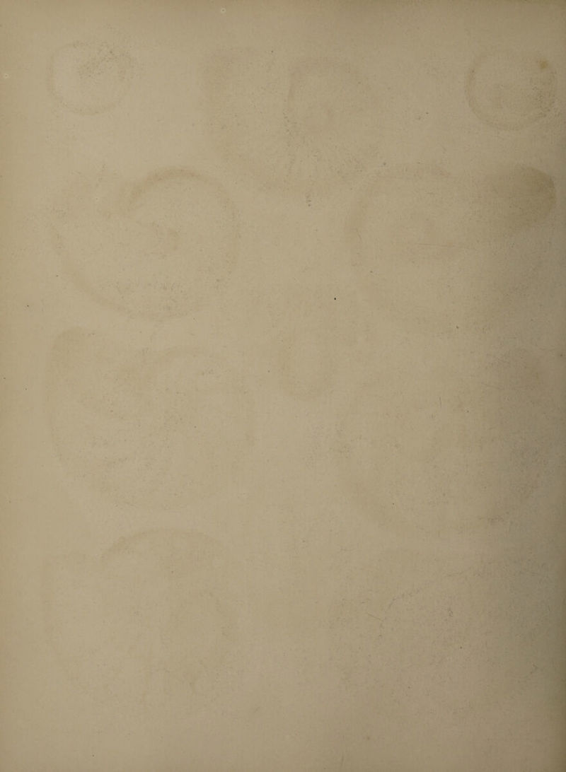 ; . • *• t,y* » •> , .i ...■ ■ ■■ . 1 .. v ■ .. . ' • ■ • - • • *• • ' • * •• ■ * * - • ... • ■ - , a. . y ; i r ■ , •• •’ . * ' ■« < < IT f. . * I • i . • • ■ • • \ 1 ( ■ * , * . ' i * ’ . : V • ' ■ •i y /■: : * • • . ' ■: ■ ,. . ... . - • ' ' - - * • \i*. A V i. -* : ✓ ■' : . . . .