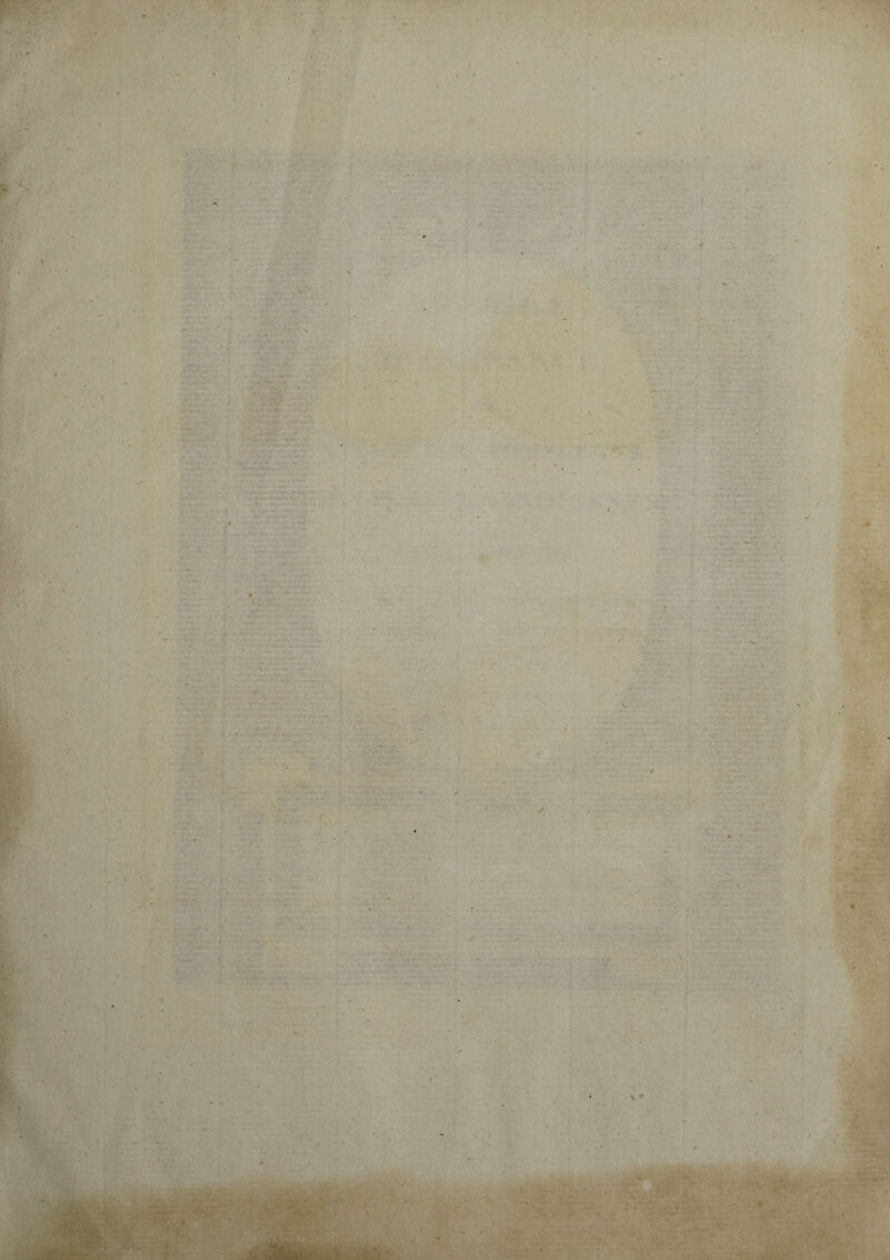 ■ N -.•1 '»* ' /V«J • . * . , , «. -,, ,» V ..... ■ '• 'V.* \ * . ■ «v ■ r , i . -, ! * • « : /; «v .